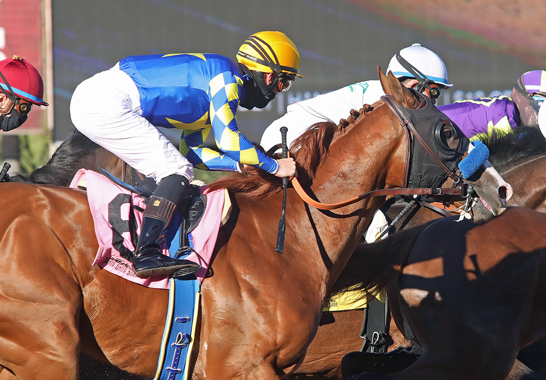 Spielberg finishes fourth in the 2021 Robert B. Lewis Stakes at Santa Anita