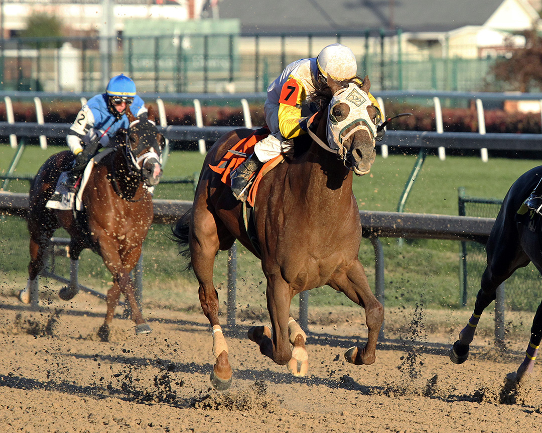 Spikes Shirl wins a November 2018 allowance at Churchill Downs