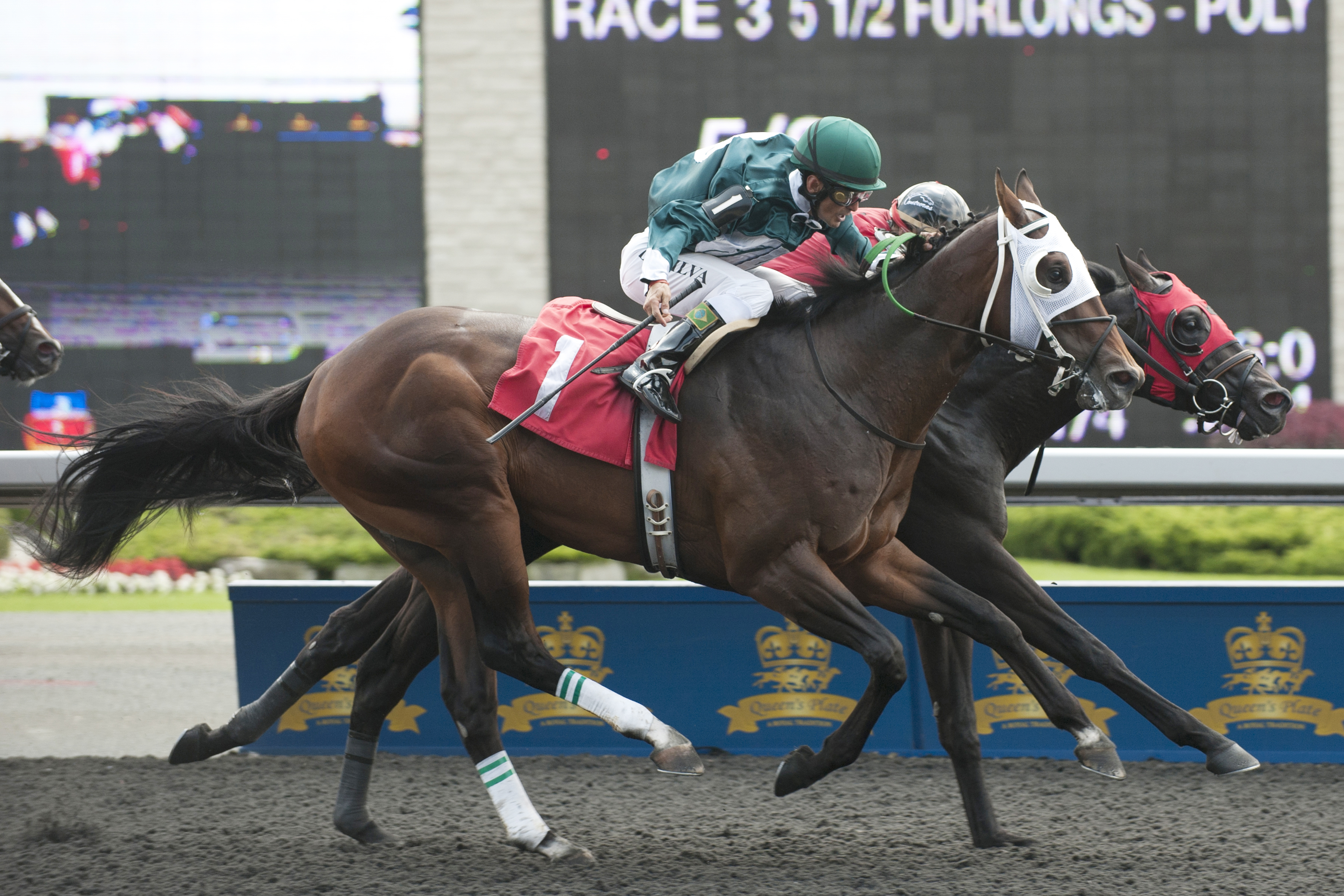 Spin the King wins the Clarendon