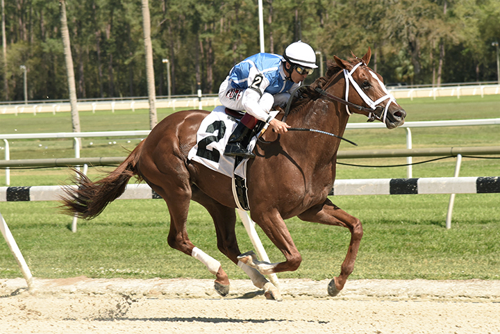 Spinoff wins a Feb. 22 allowance at Tampa Bay Downs