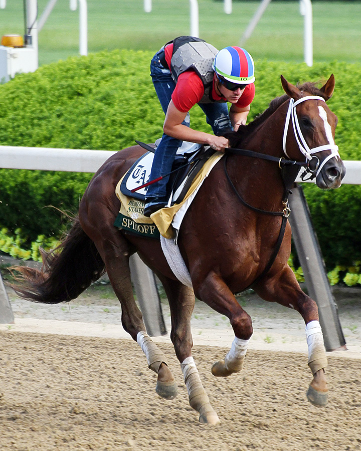 Spinoff trains at Belmont Park on May 29