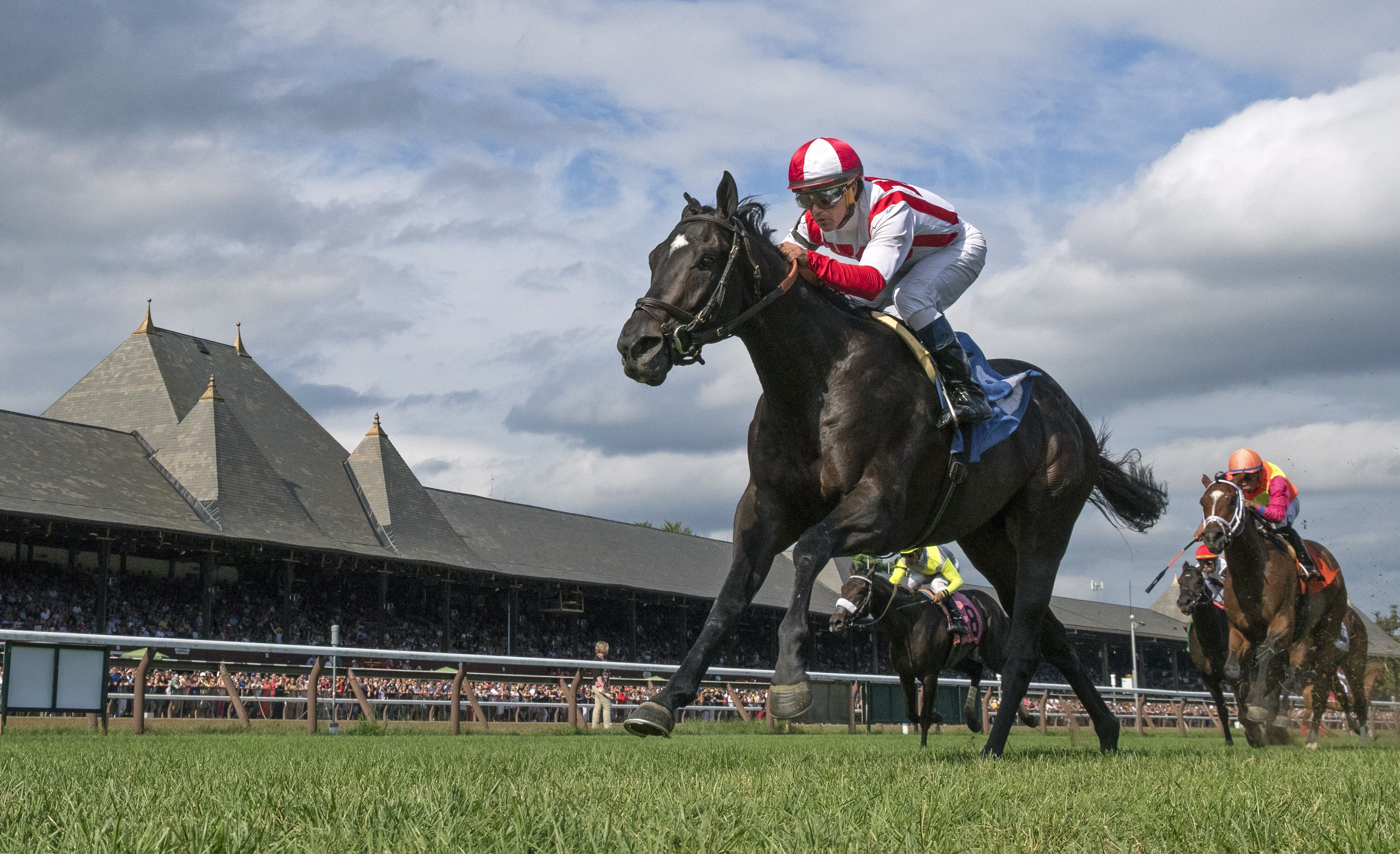 Spirit Animal gives Brown 41st win