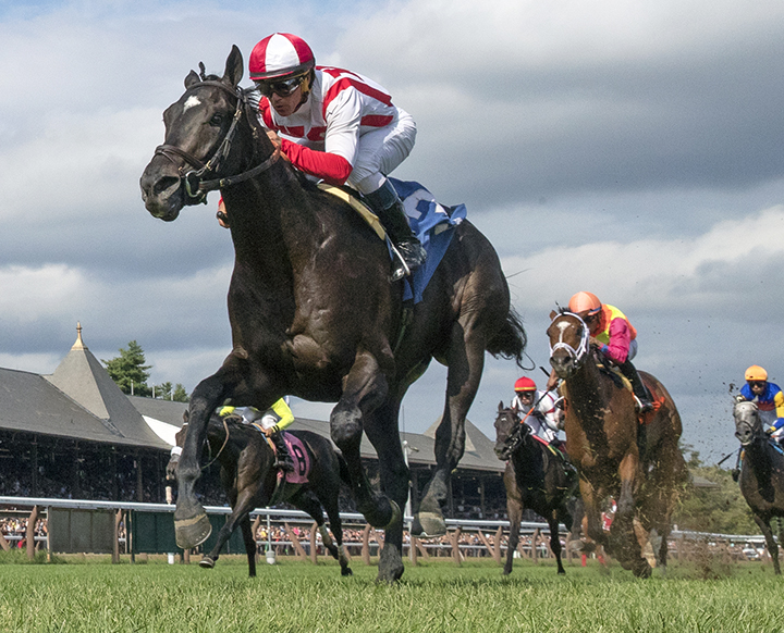 Spirit Animal wins a Sept. 1, 2018, maiden race