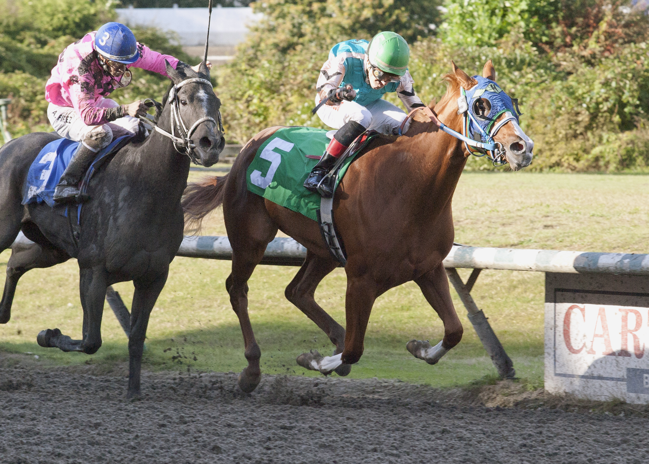 Spirit Bay wins the Sadie Diamond Futurity