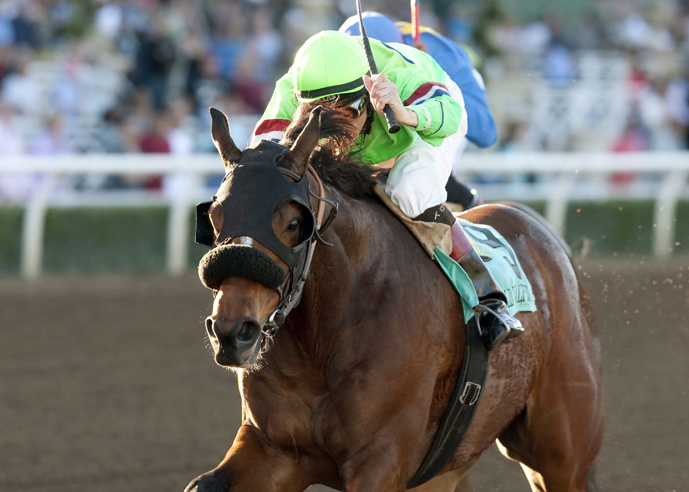 Spirit Rules wins the 2015 Donald Valpredo California Cup Sprint
