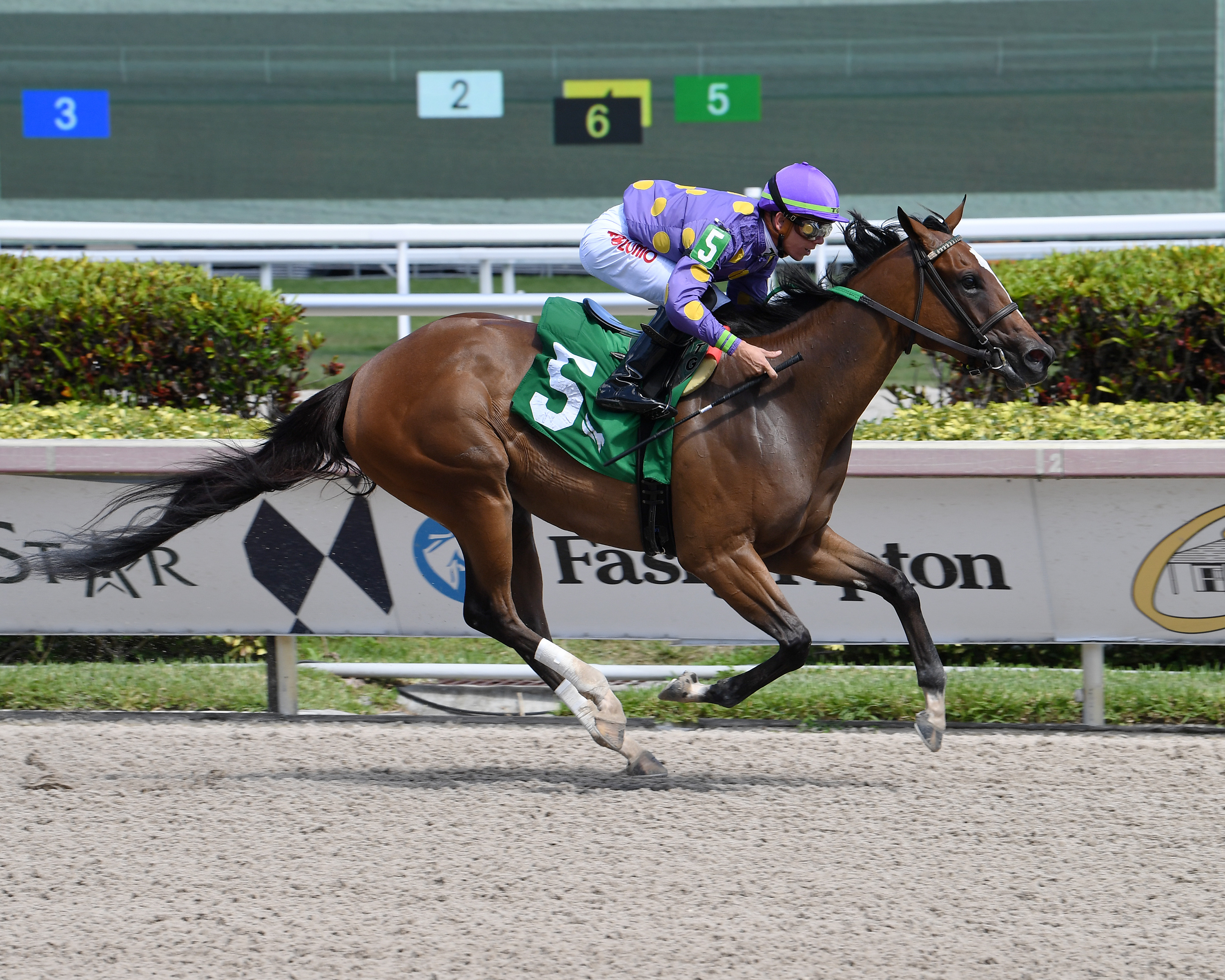 Spirit Wind - Any Limit S. 2022