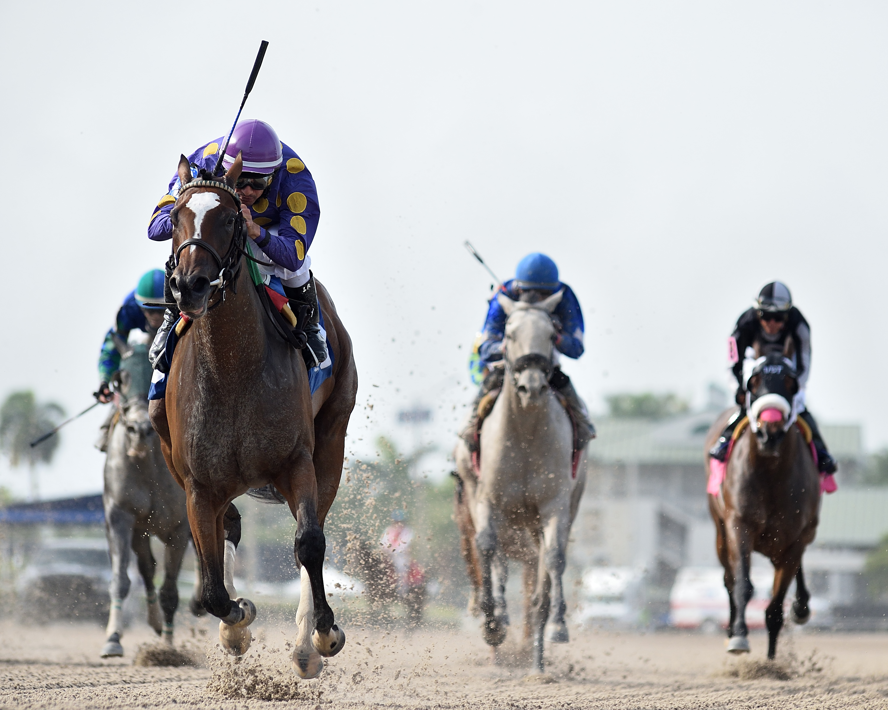 Spirit Wind wins the Musical Romance on May 21 2022.Ryan Thompson.jpg