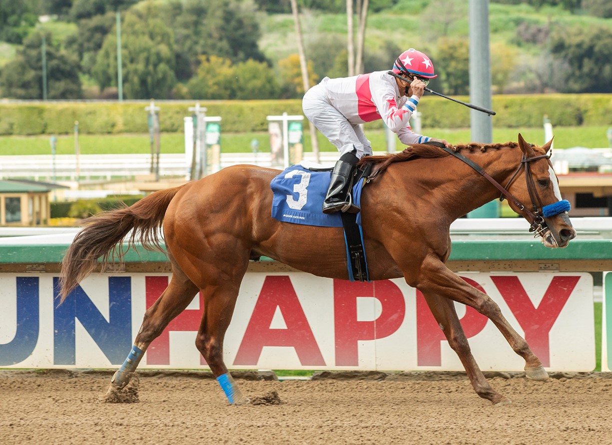 Spirit of Makena wins San Carlos at SA March 11 2023