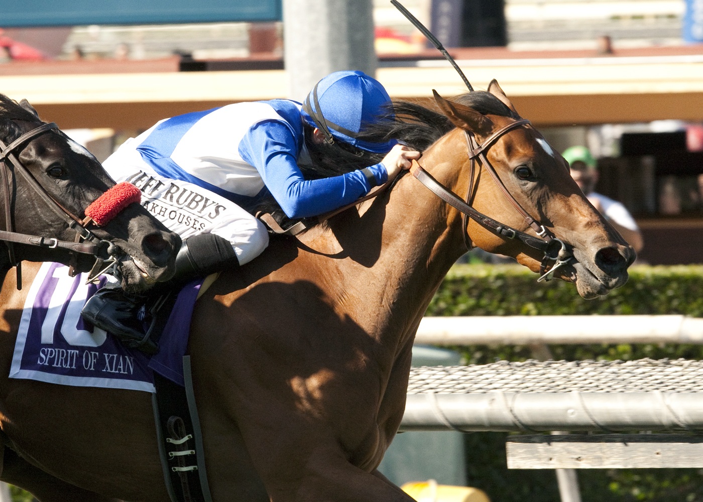 Spirit of Xian wins the Providencia Stakes
