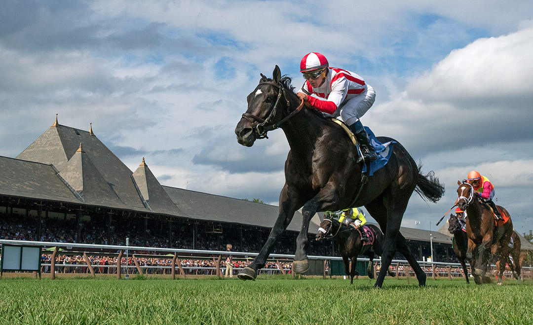 Spirit Animal wins a September 2018 maiden race at Saratoga