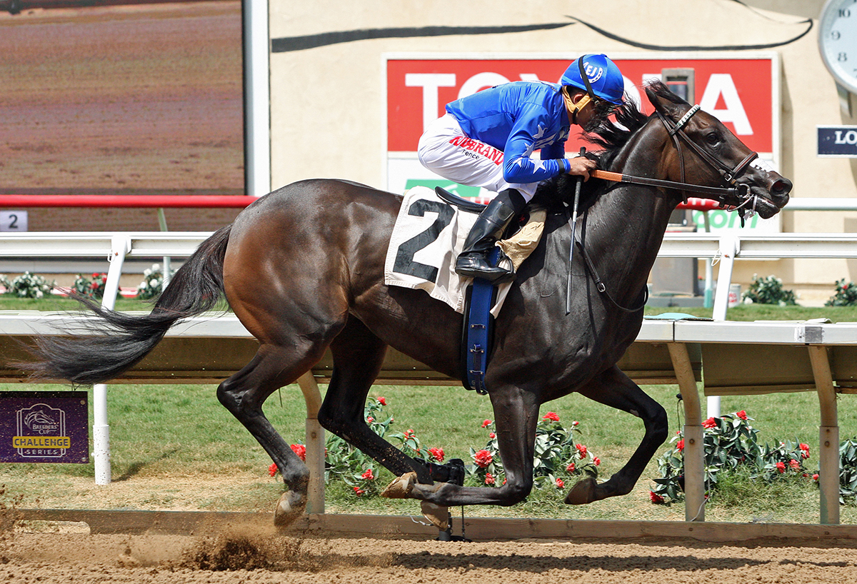 Splashy Kisses wins an Aug. 18 maiden race