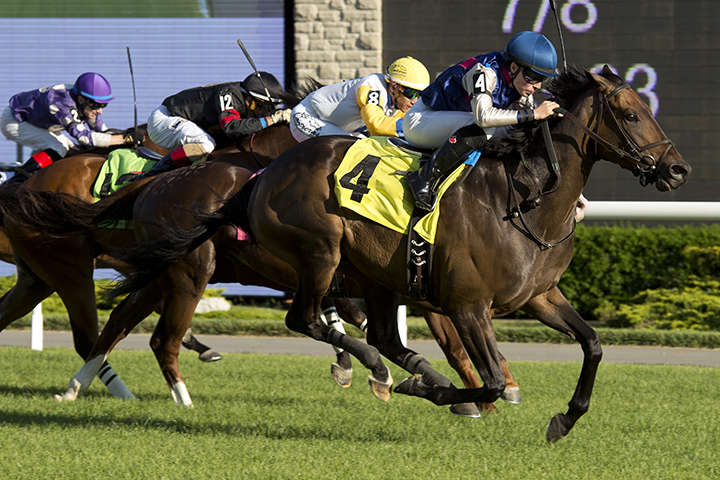 Split My Pants wins a June 29 allowance at Woodbine Racetrack