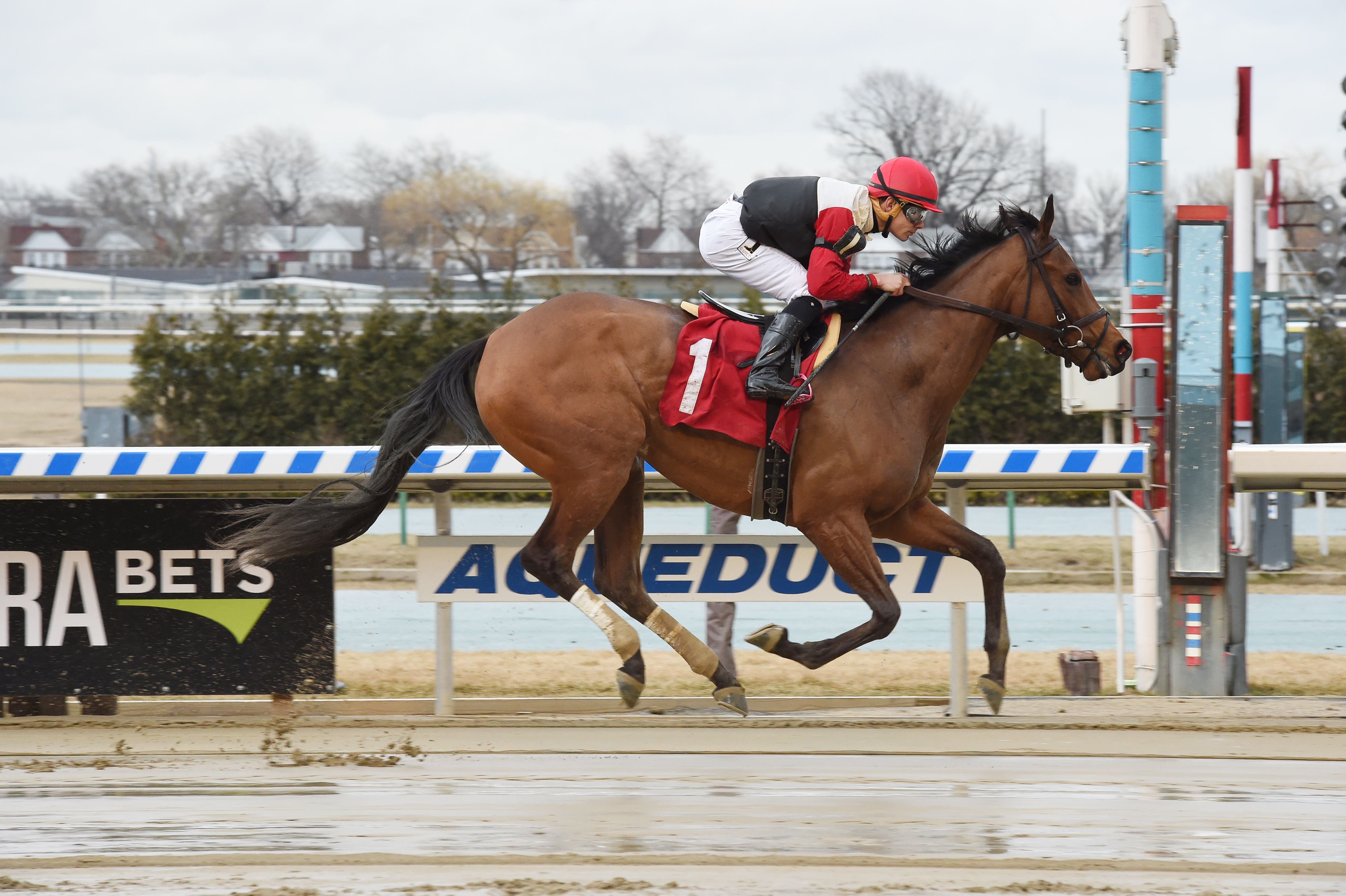 Split Time wins an allowance on Feb. 16