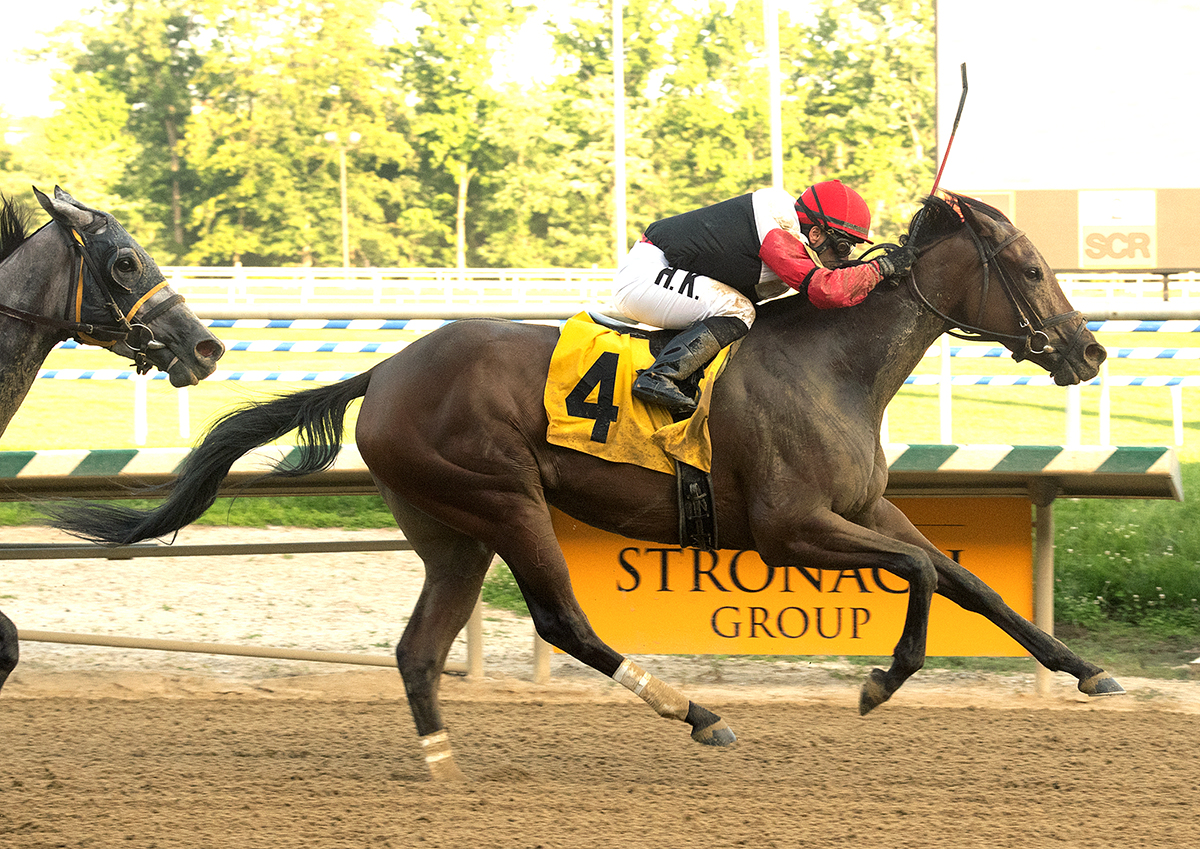 Split Time wins the 2018 Alma North