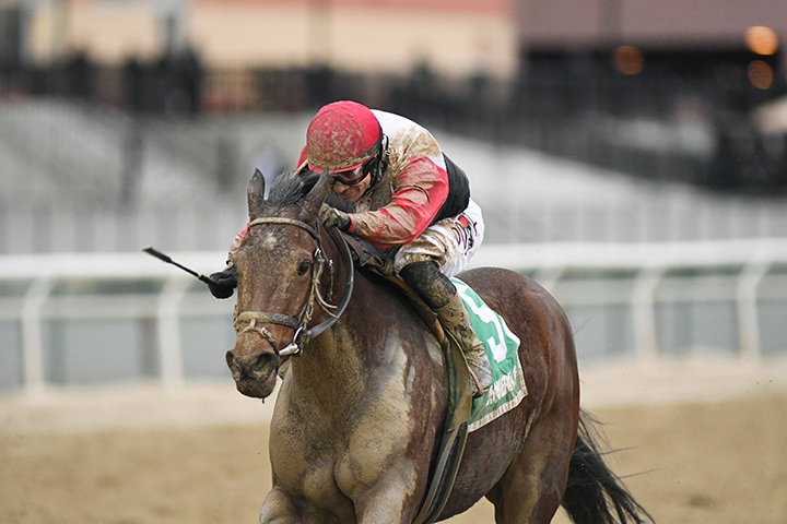 Split Time wins the 2018 Bay Ridge Stakes
