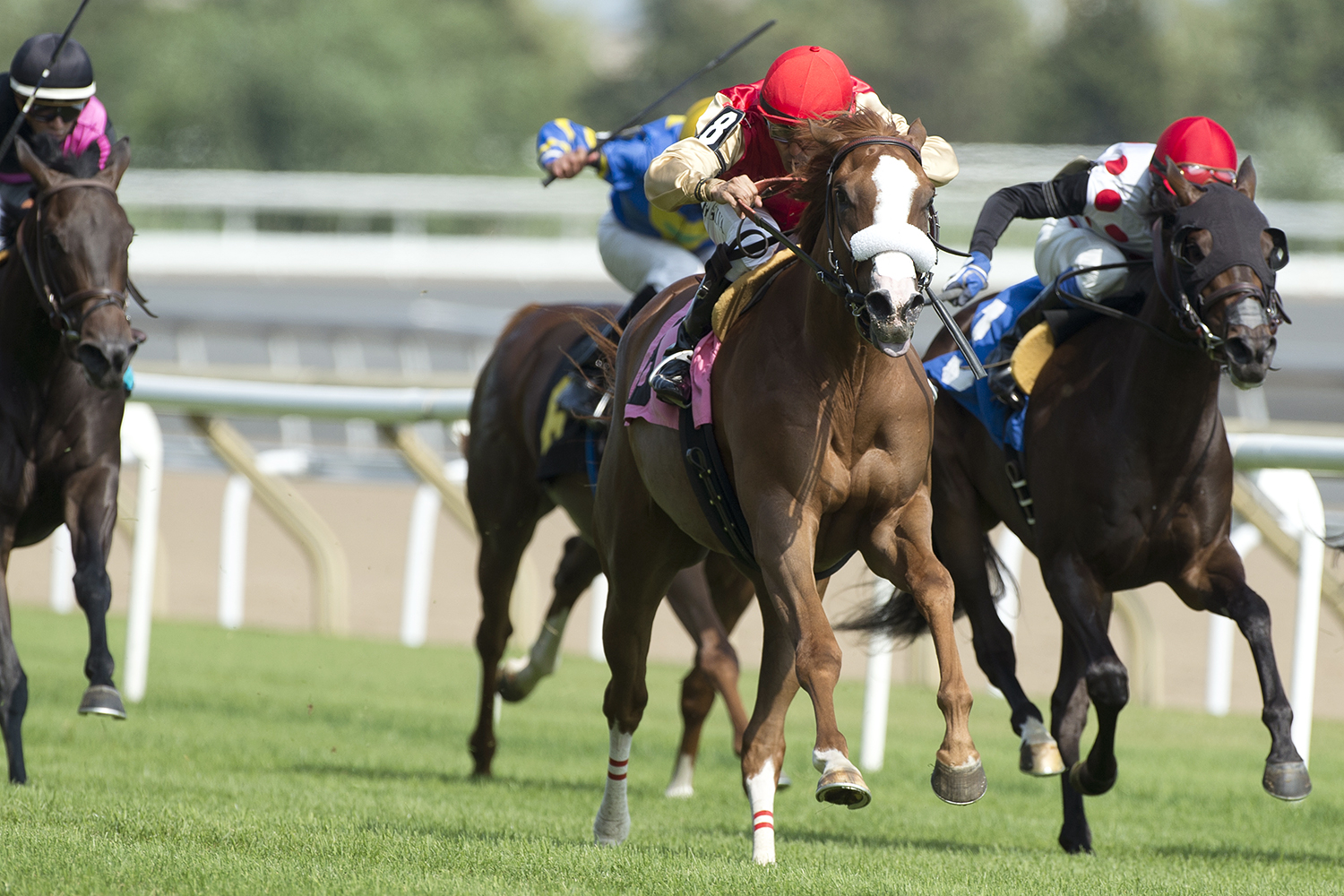 Split the Sea wins a July 21, 2017 maiden race