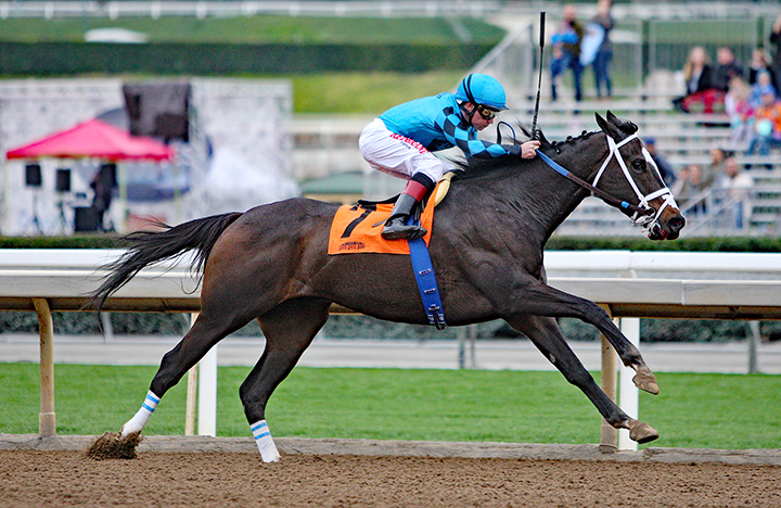 Spokane Eagle wins a Jan. 5 allowance at Santa Anita