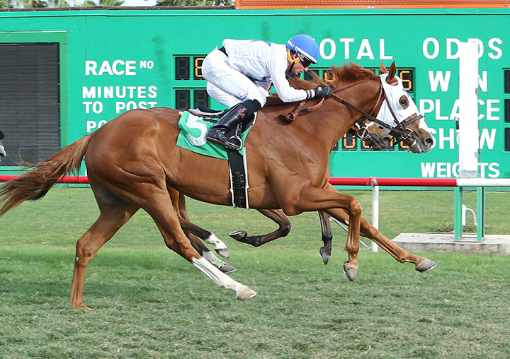 Spooky Channel wins the 2019 Hasta La Vista