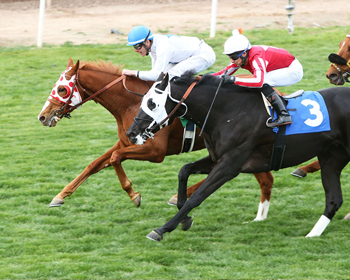 Spooky Channel wins the 2019 Turf Paradise Handicap