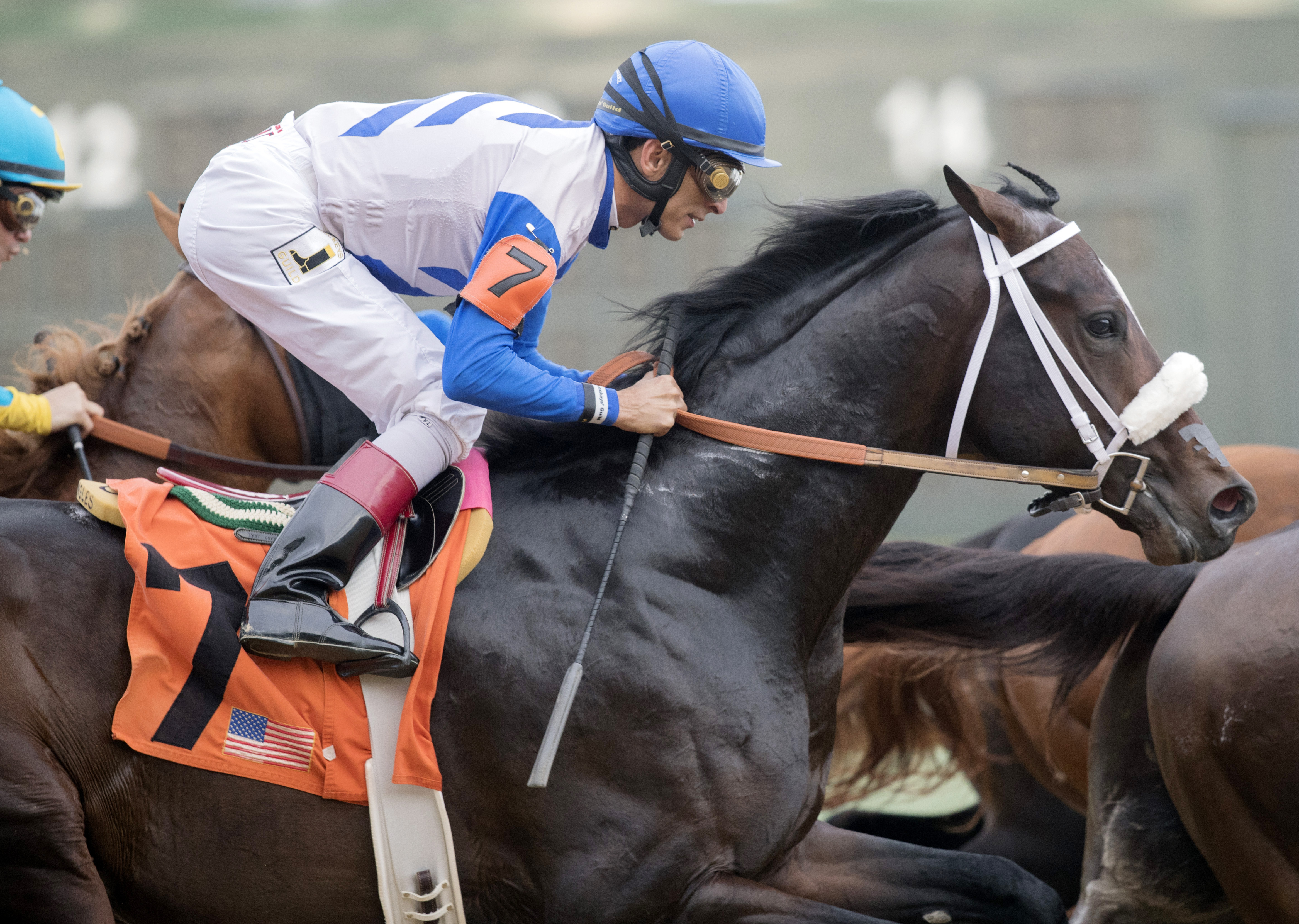 Sporting Chance finishes fifth in the Rebel Stakes