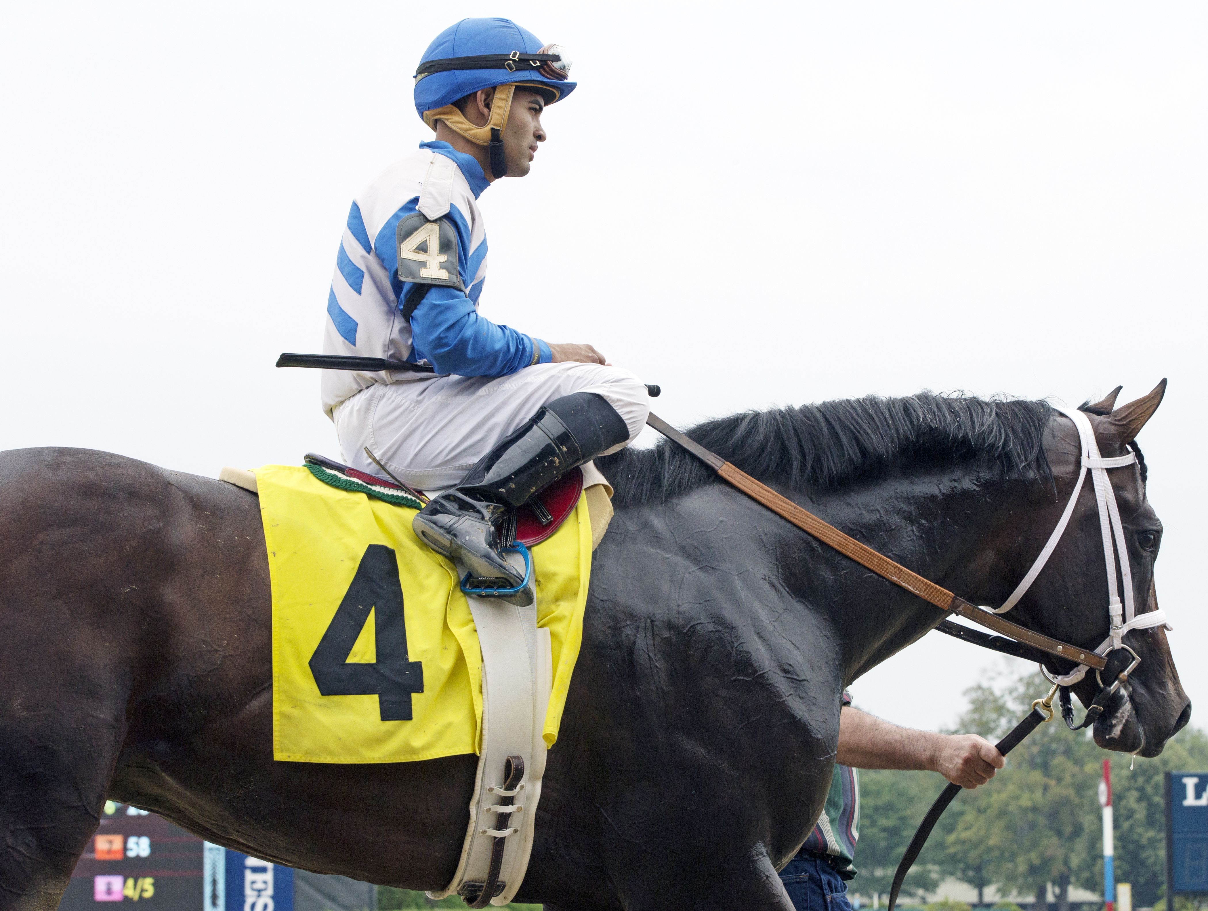 Sporting Chance