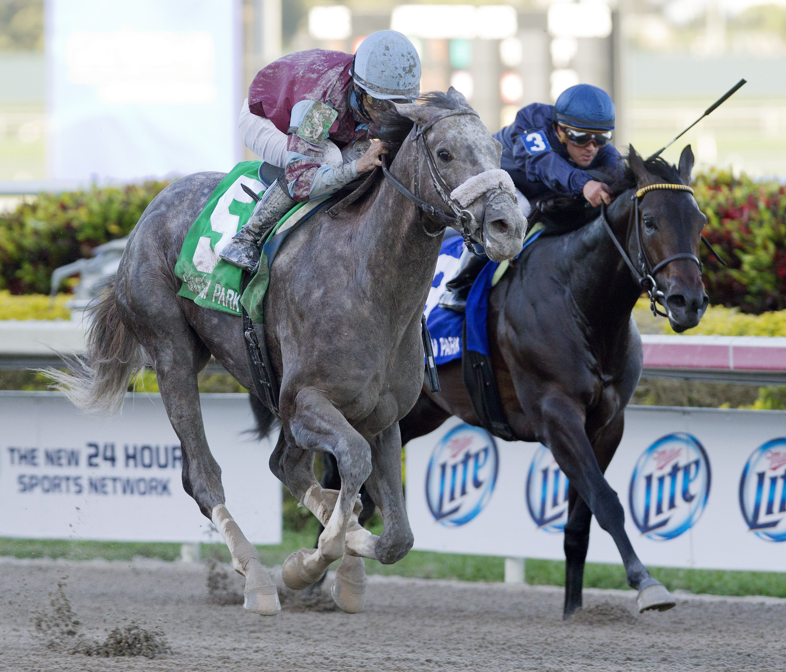Spot wins the Swale