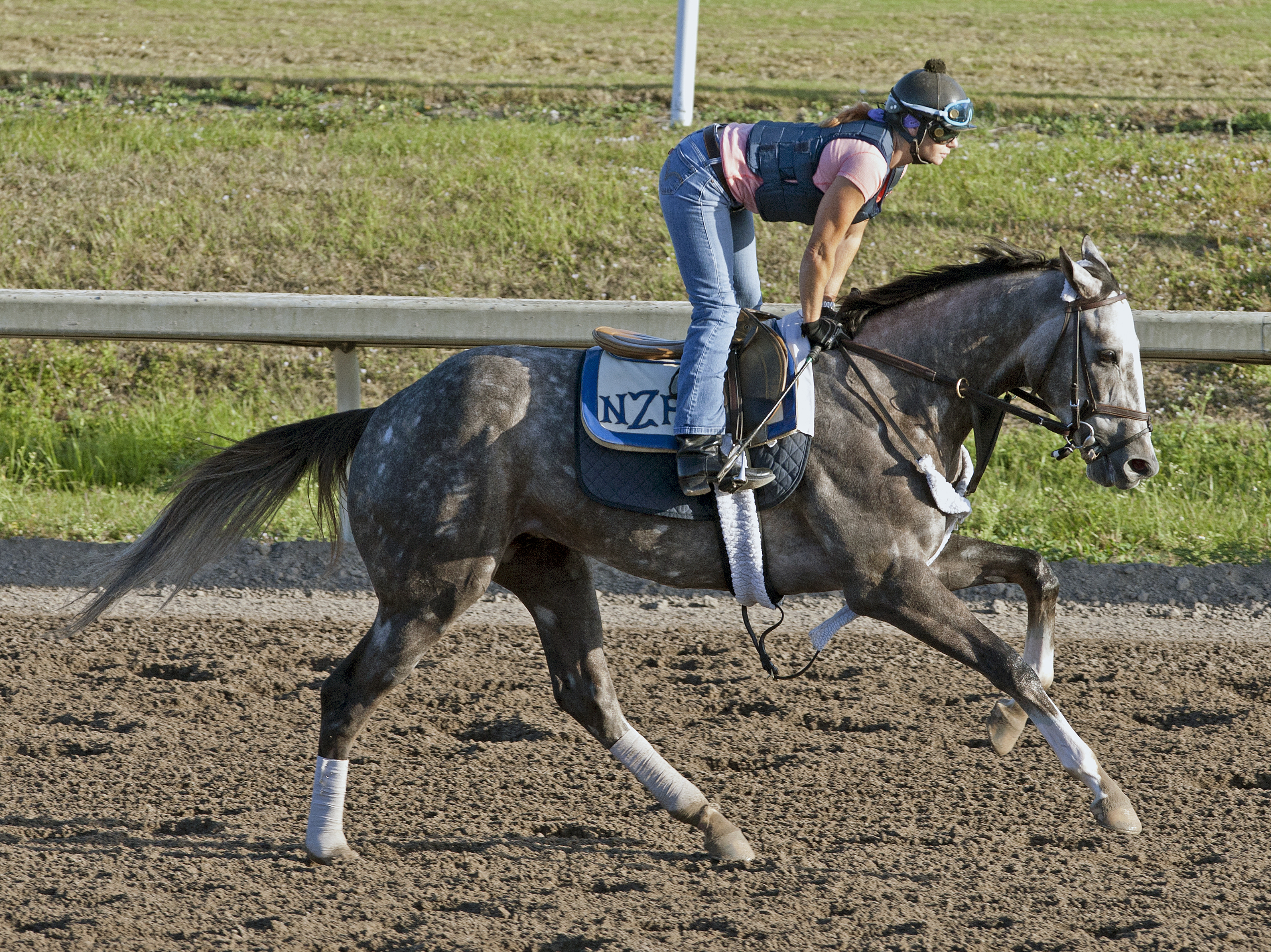Spot training