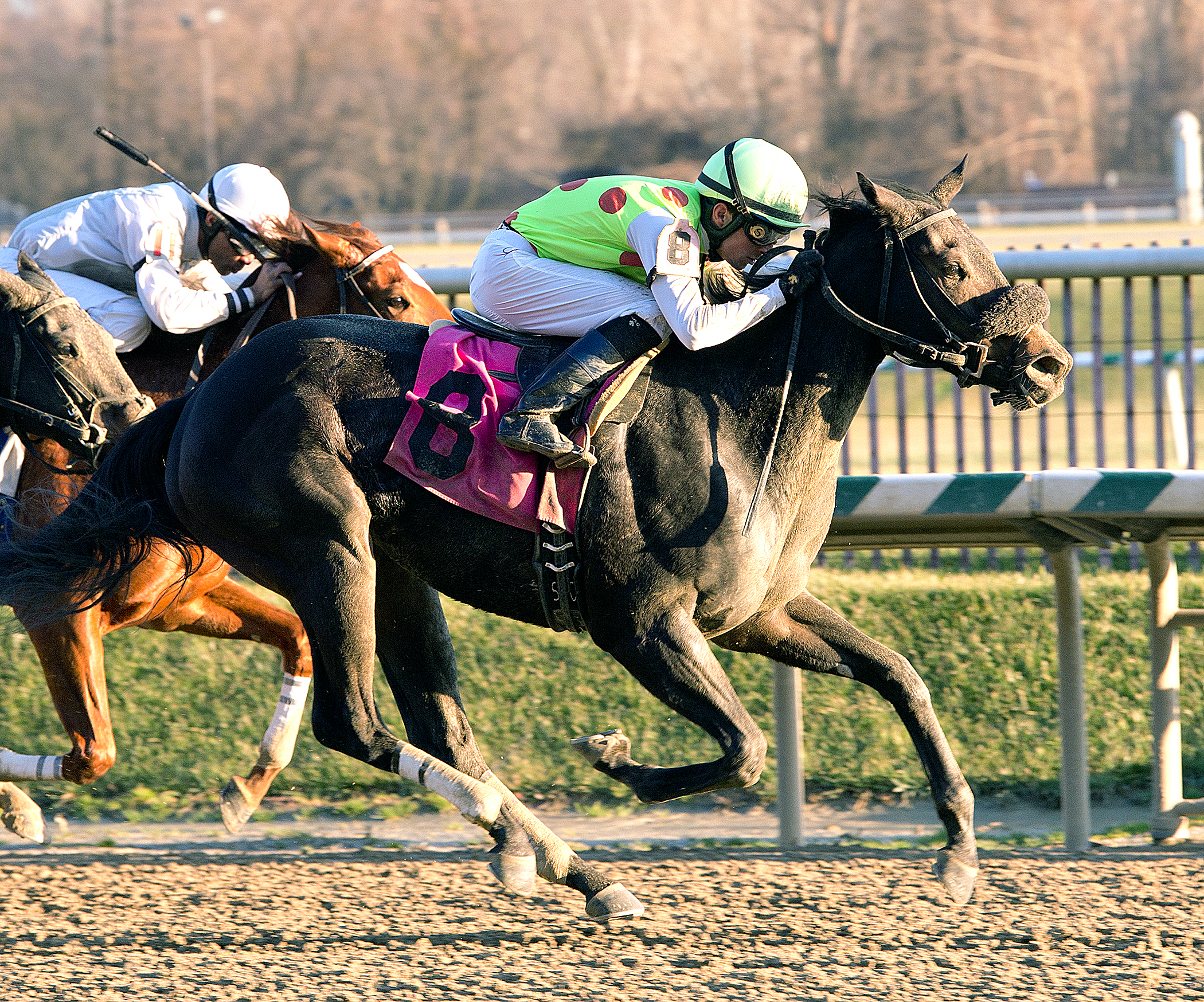 Spotted Heart wins the Maryland Juvenile Filly Championship Stakes