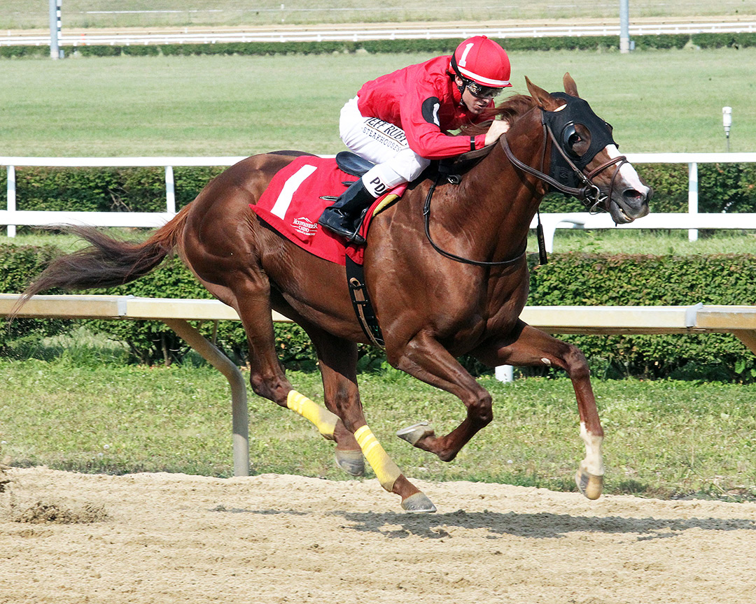 Sprawl wins the 2021 West Virginia Governor's Stakes at Mountaineer Park