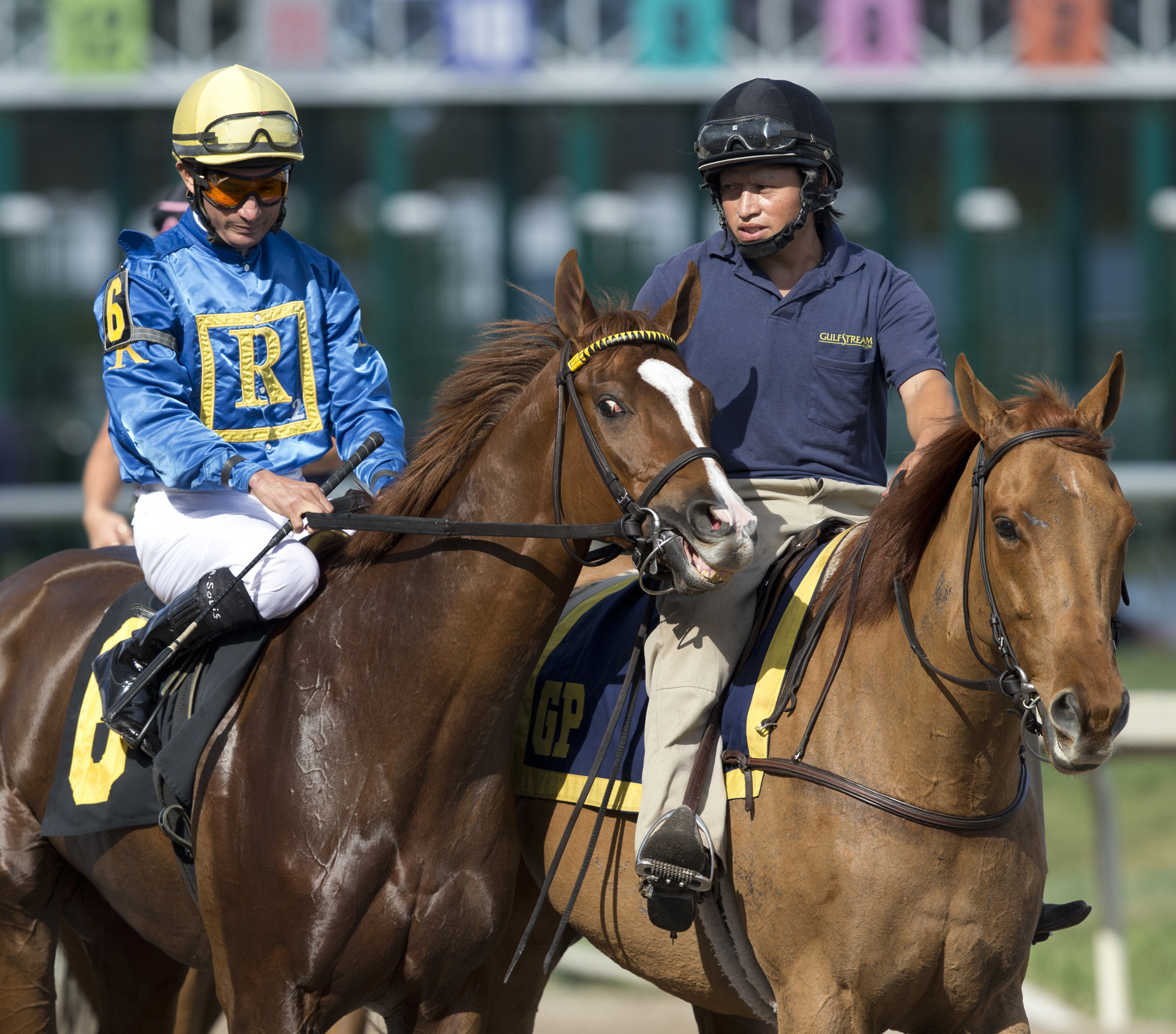 Spring Again at Gulfstream Park in February