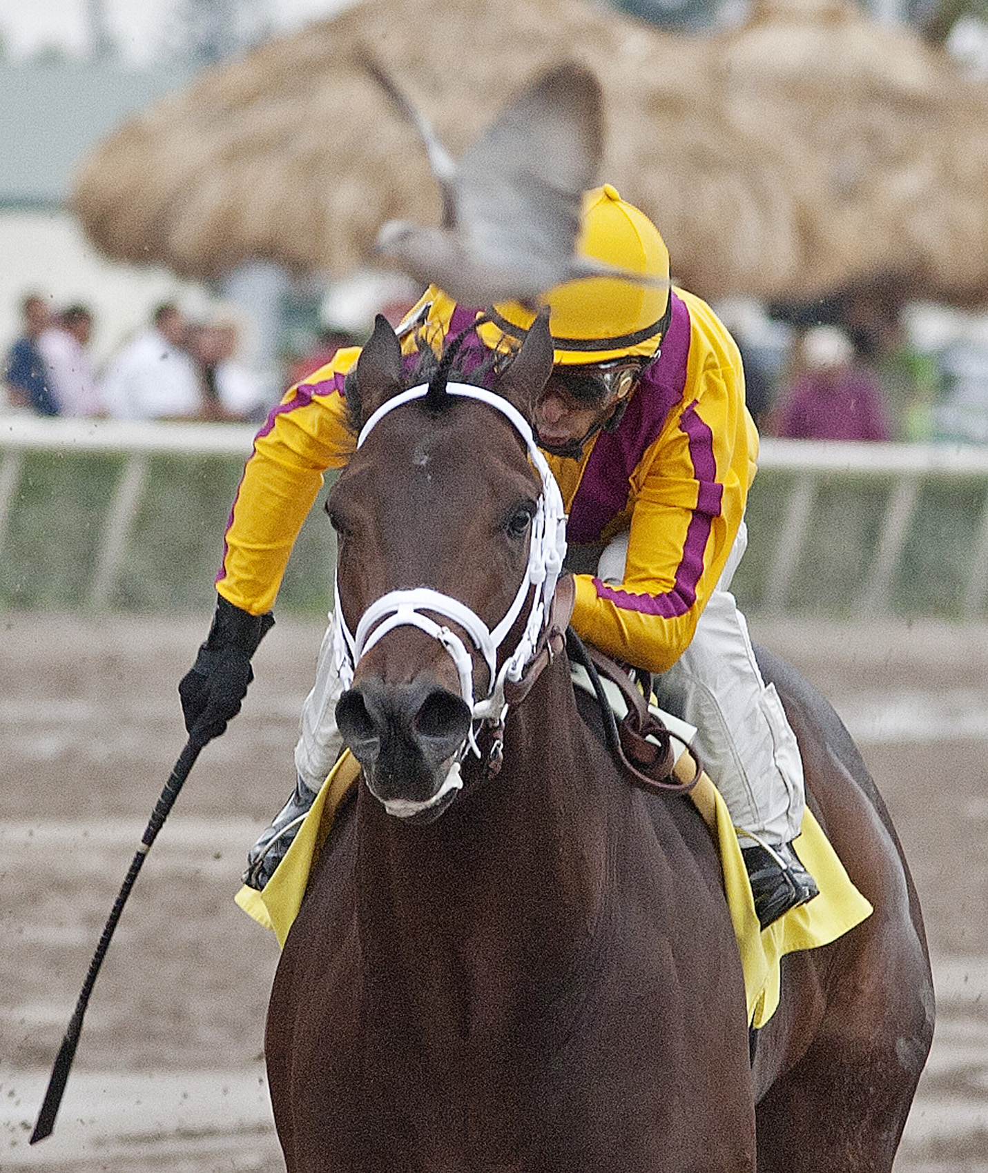 Spring Hill Farm/allowance