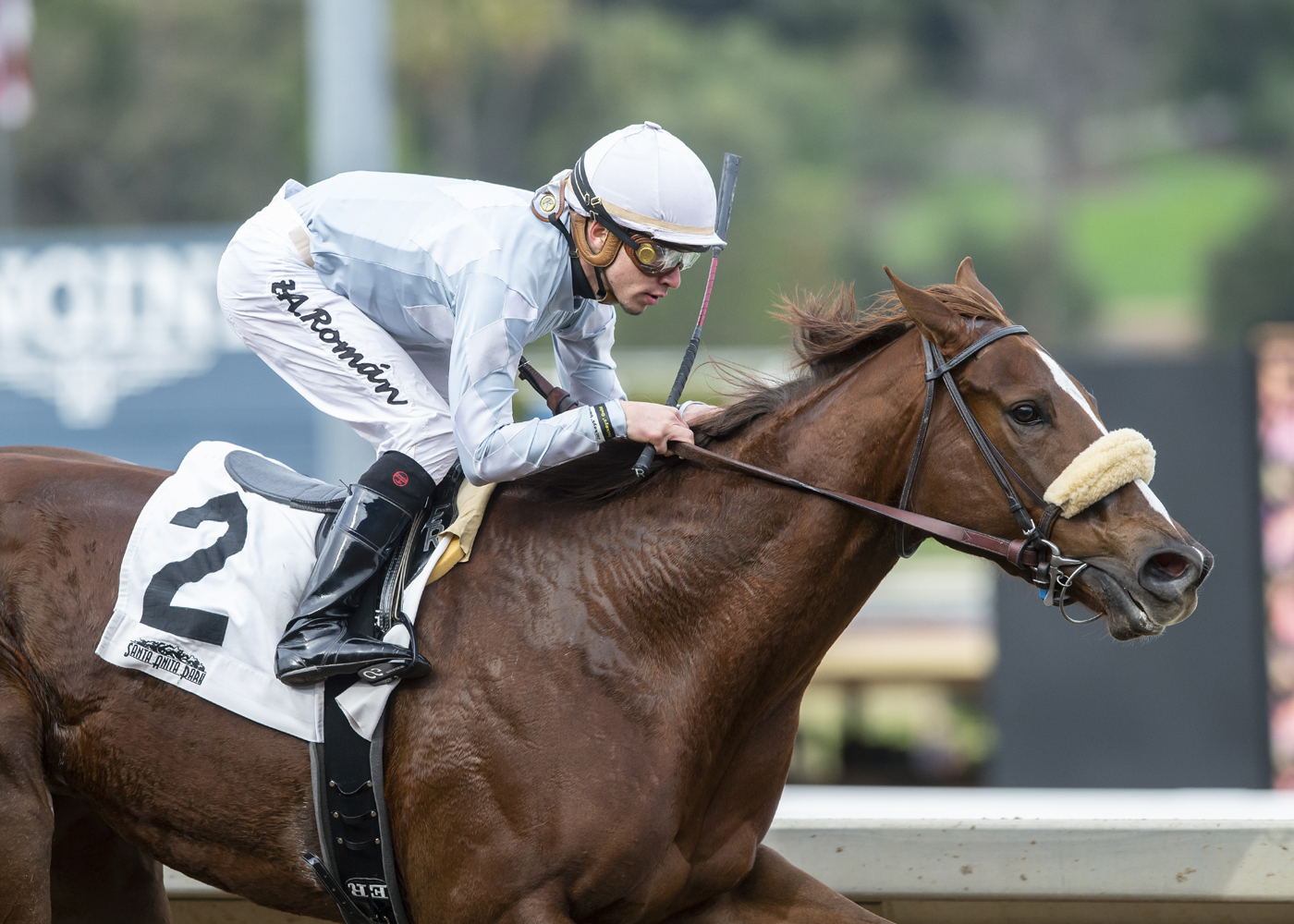 Spring Lily wins 2019 Kalookan Queen Stakes