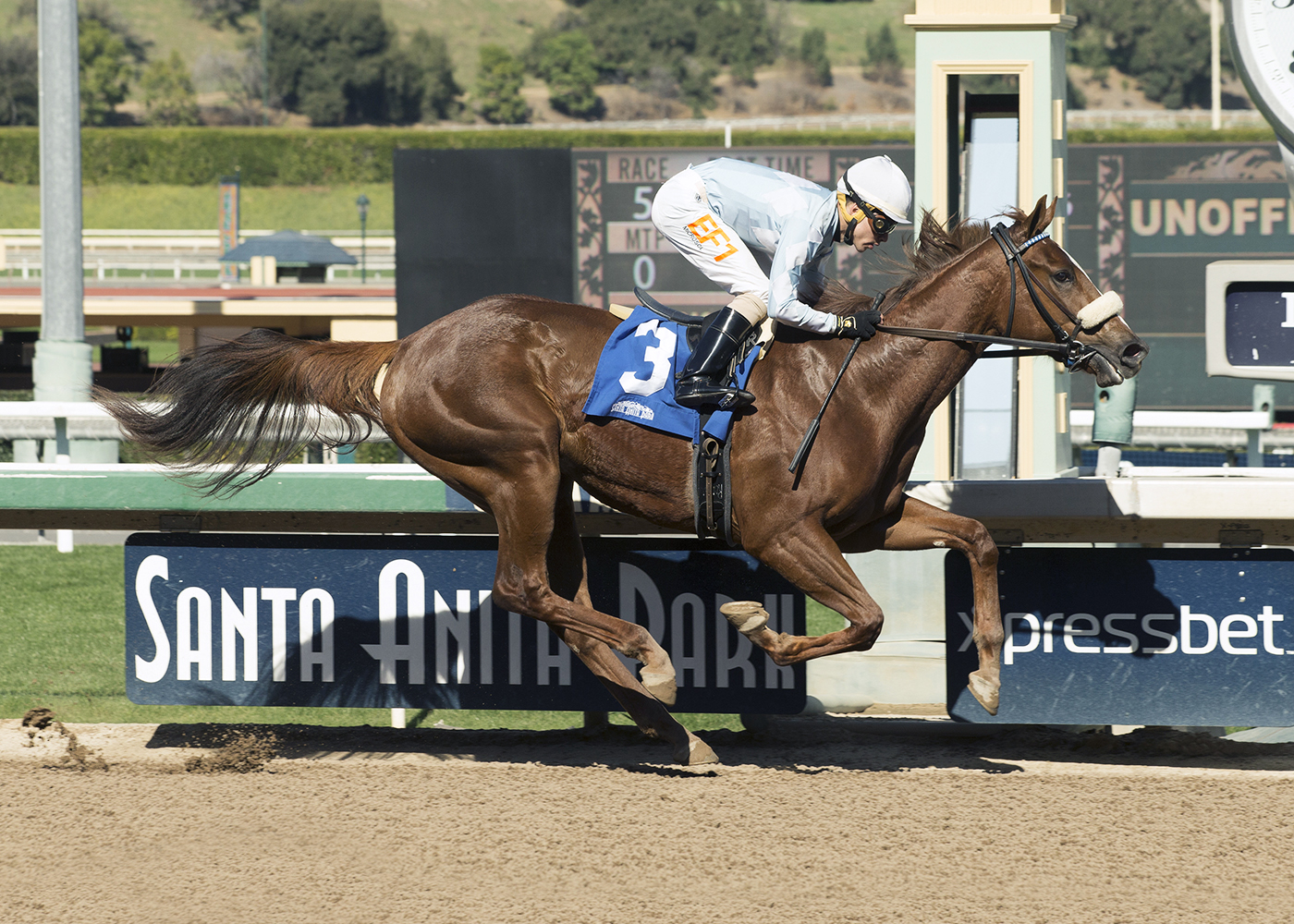 Spring Lily wins a Feb. 4 maiden race