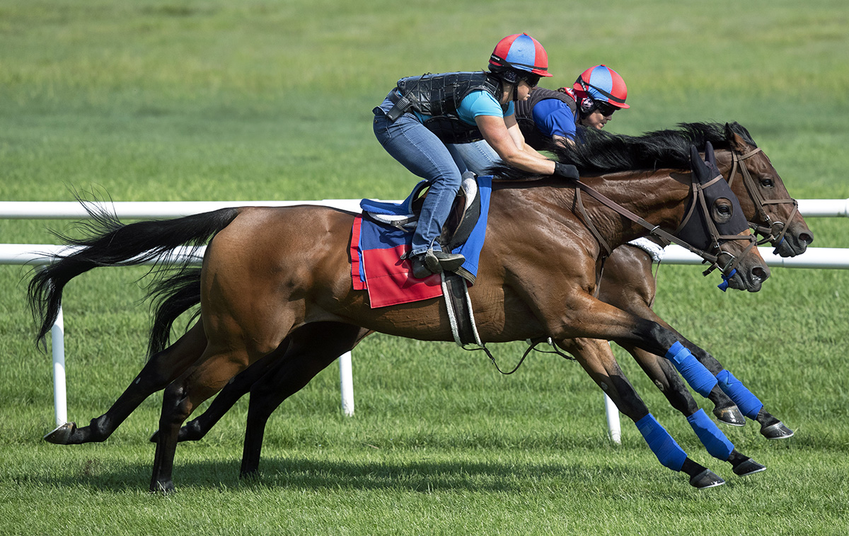 Spring Quality trains at Saratoga on Aug. 20