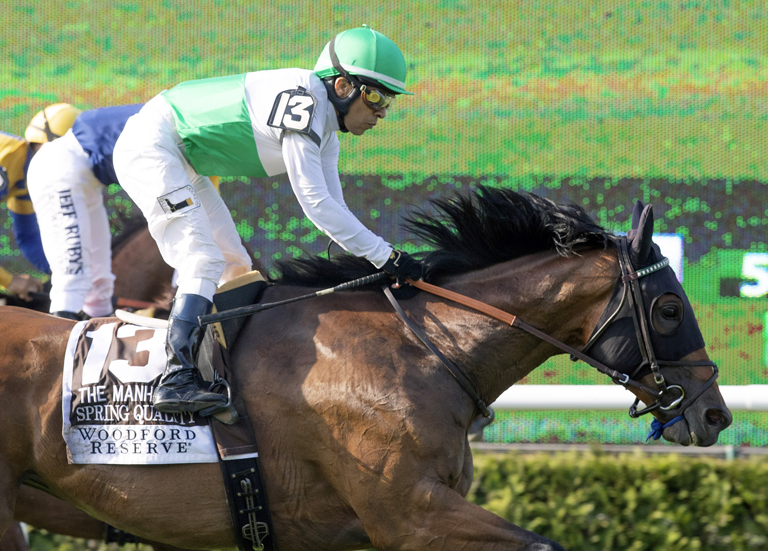 Spring Quality wins the 2018 Manhattan Handicap