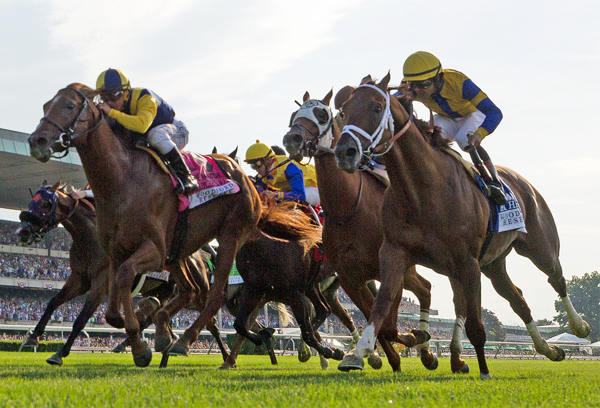 Hi Happy finishes third in the Manhattan Stakes