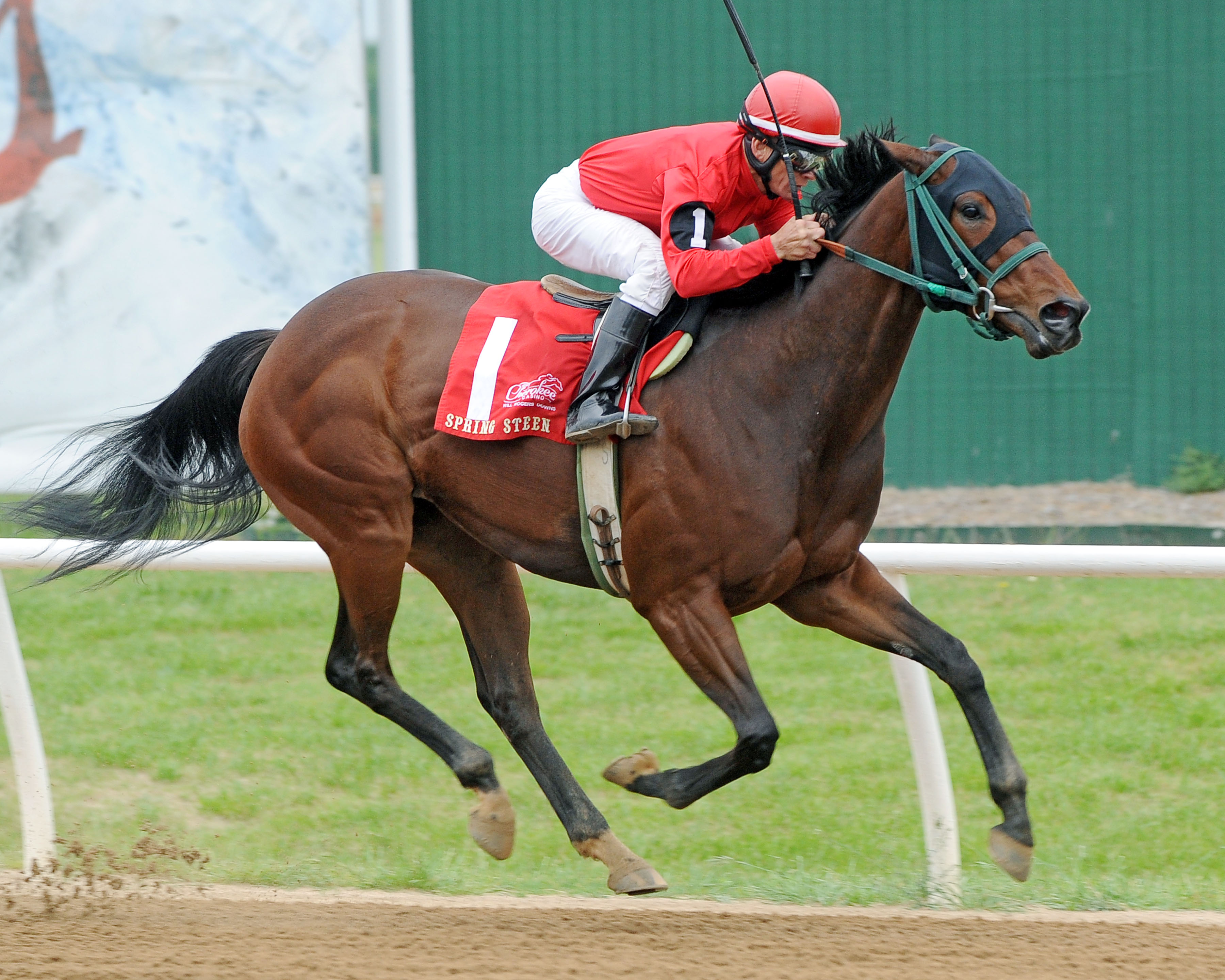 Spring Steen wins the 2019 Miranda Diane Stakes