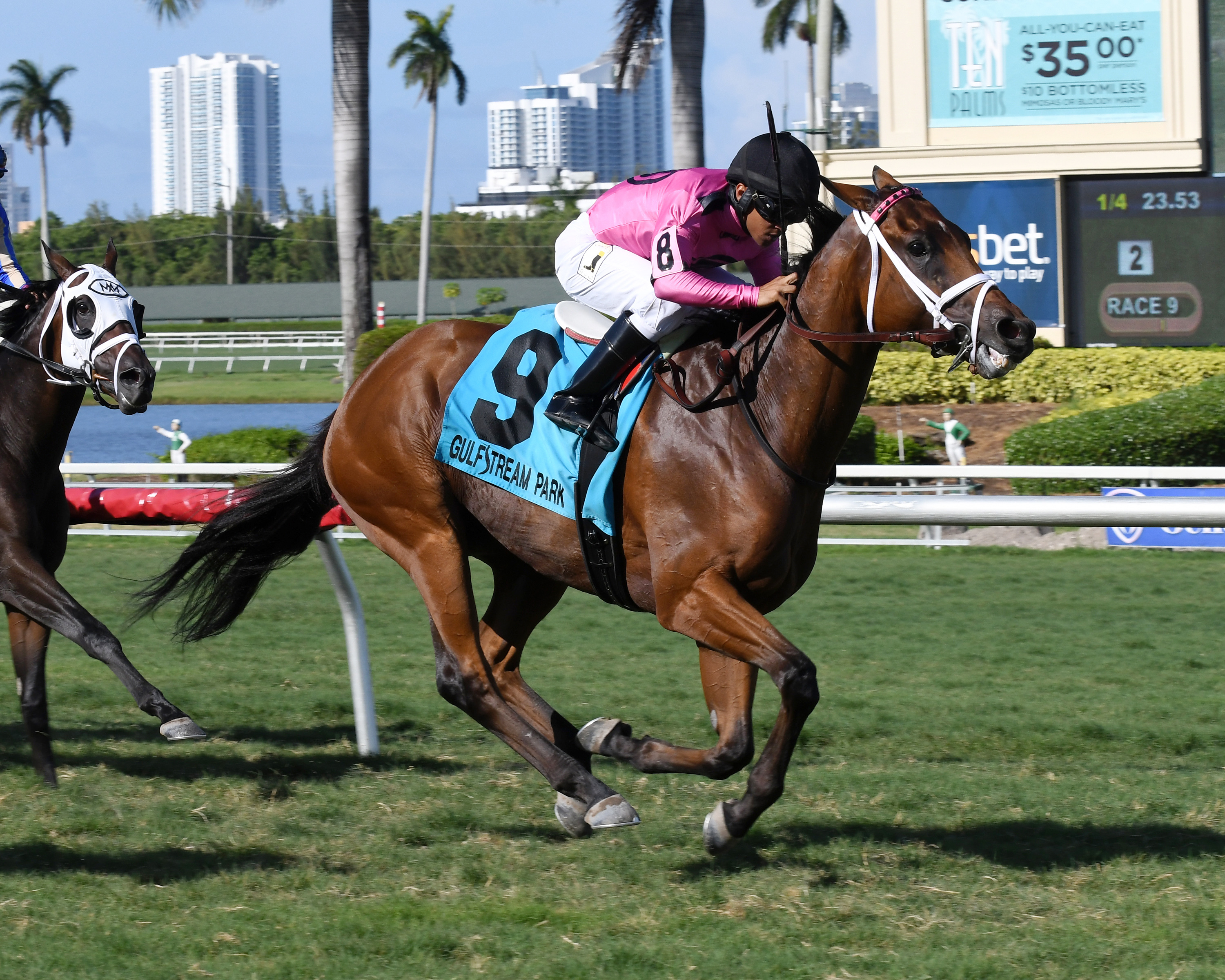 Spring Up wins the Mecke Handicap