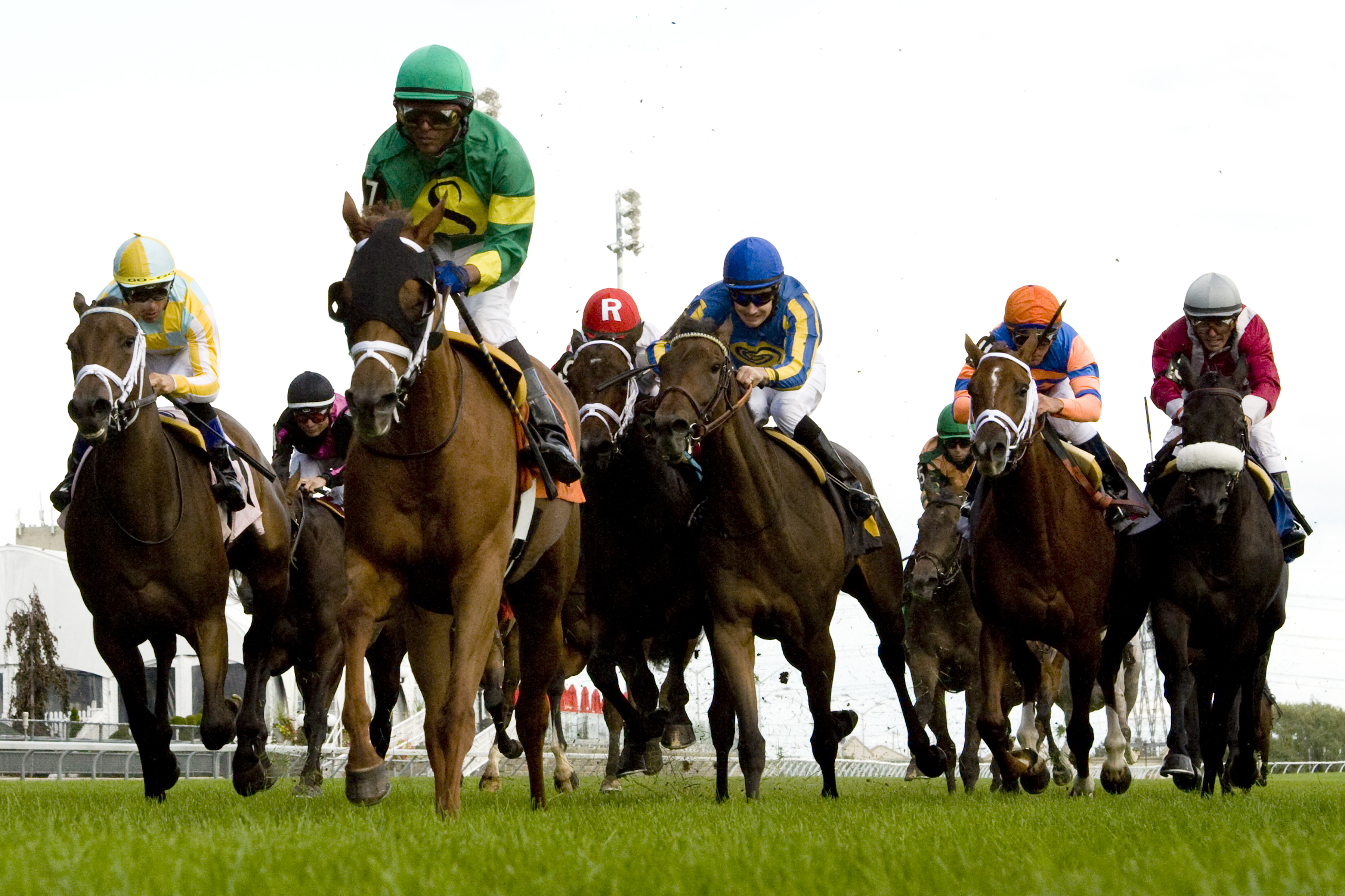 Spring Venture/Natalma Stakes