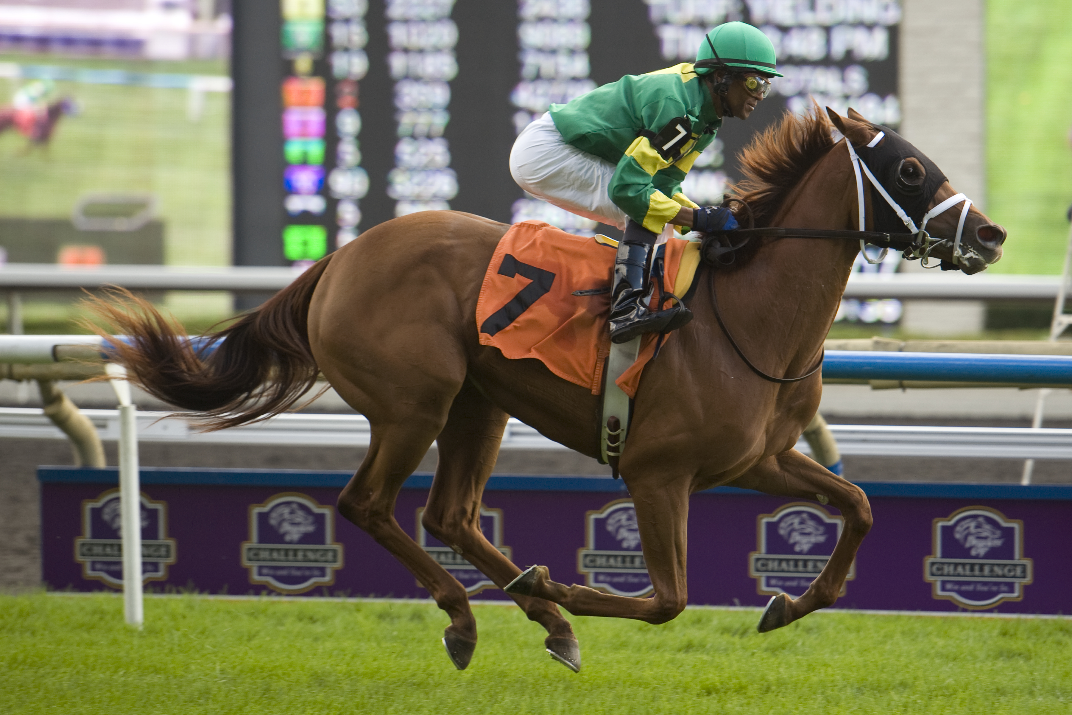 Spring Venture/Natalma Stakes