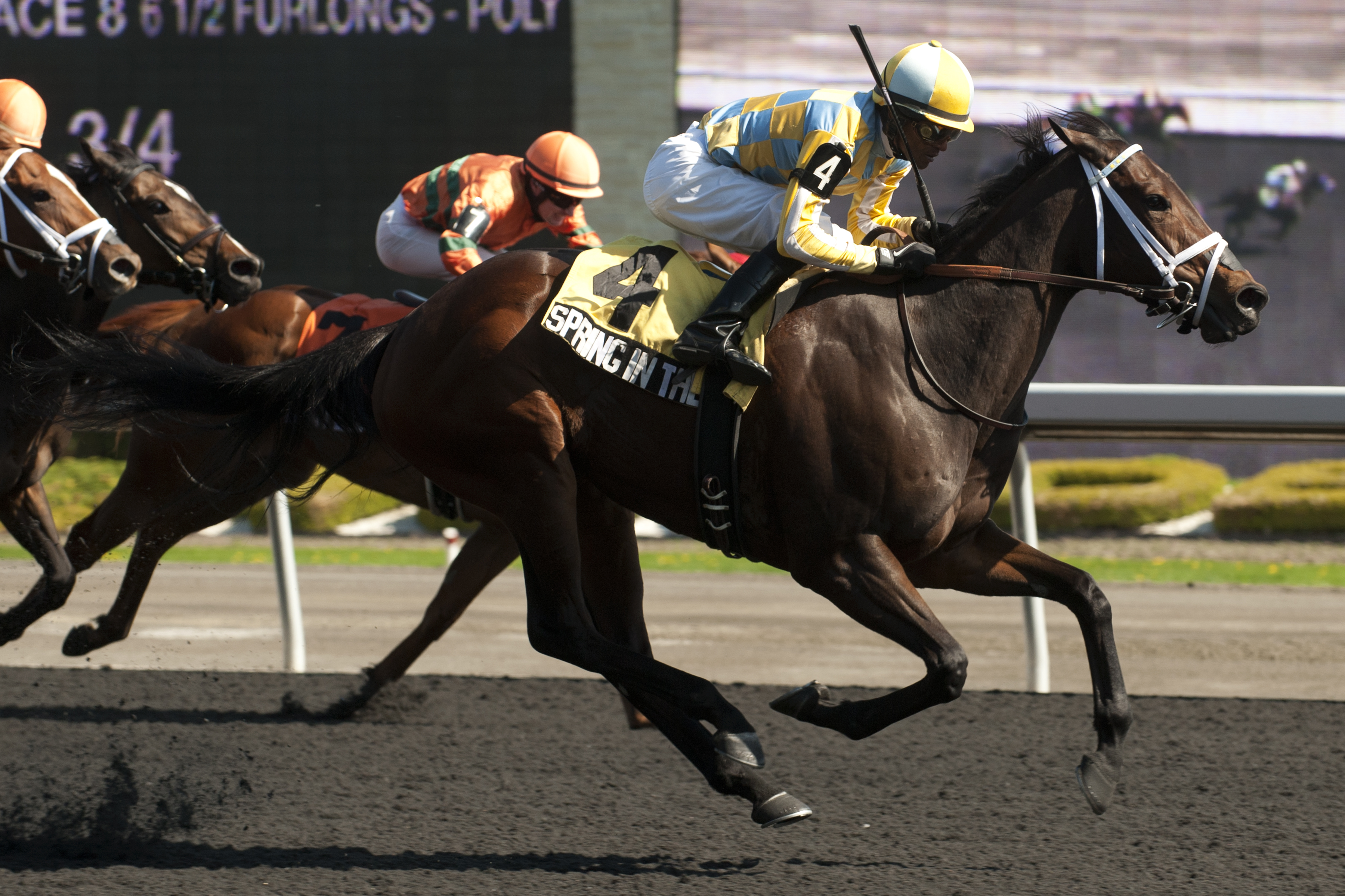 Spring in the Air wins 2014 Hendrie