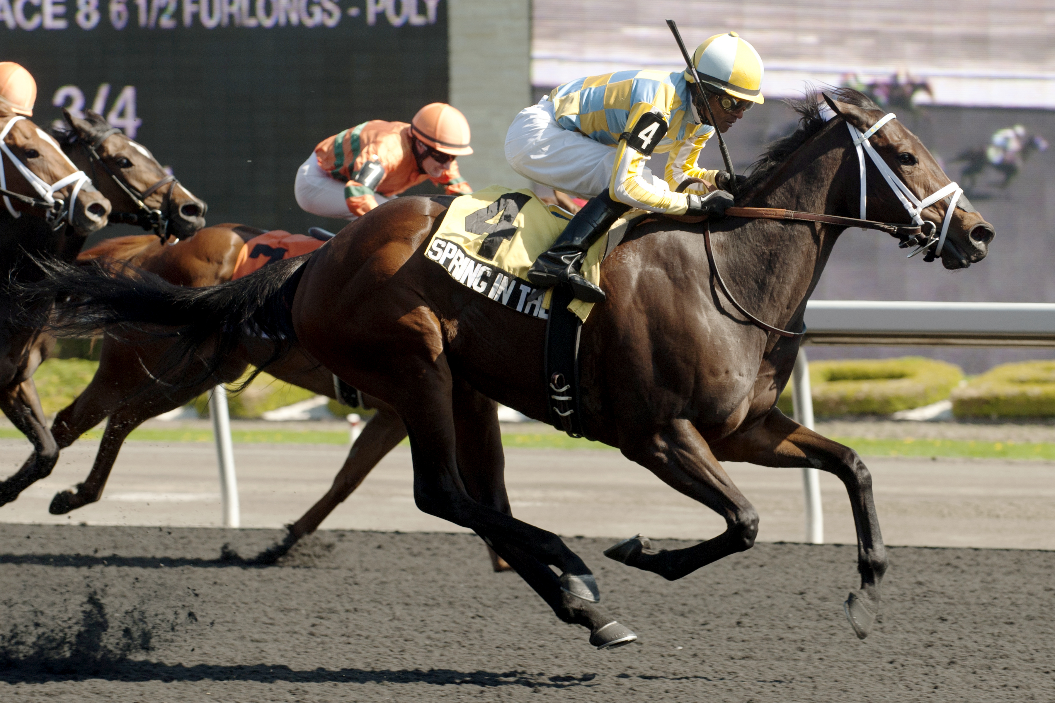 Spring in the Air wins the Hendrie Stakes