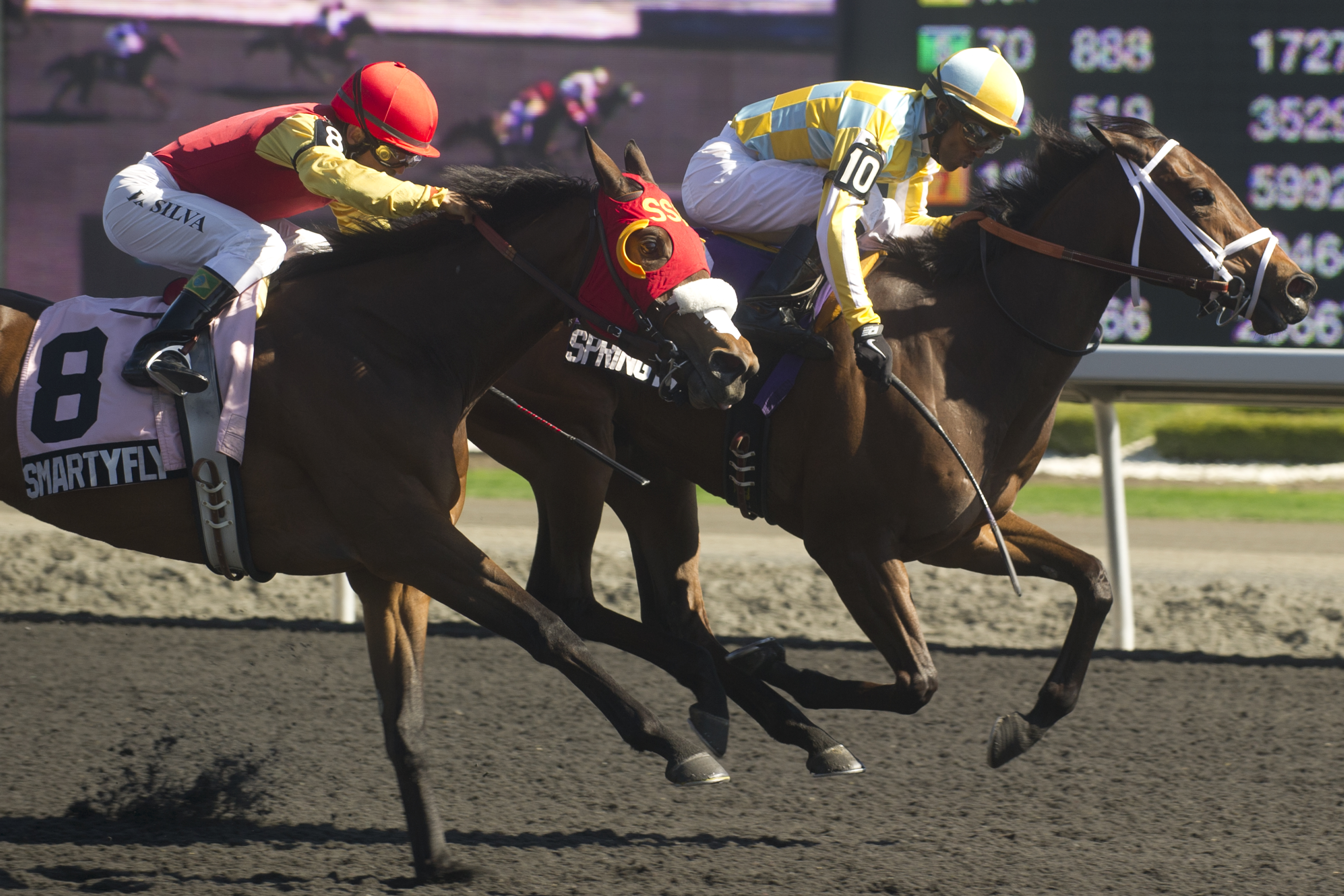 Spring in the Air, Fury Stakes