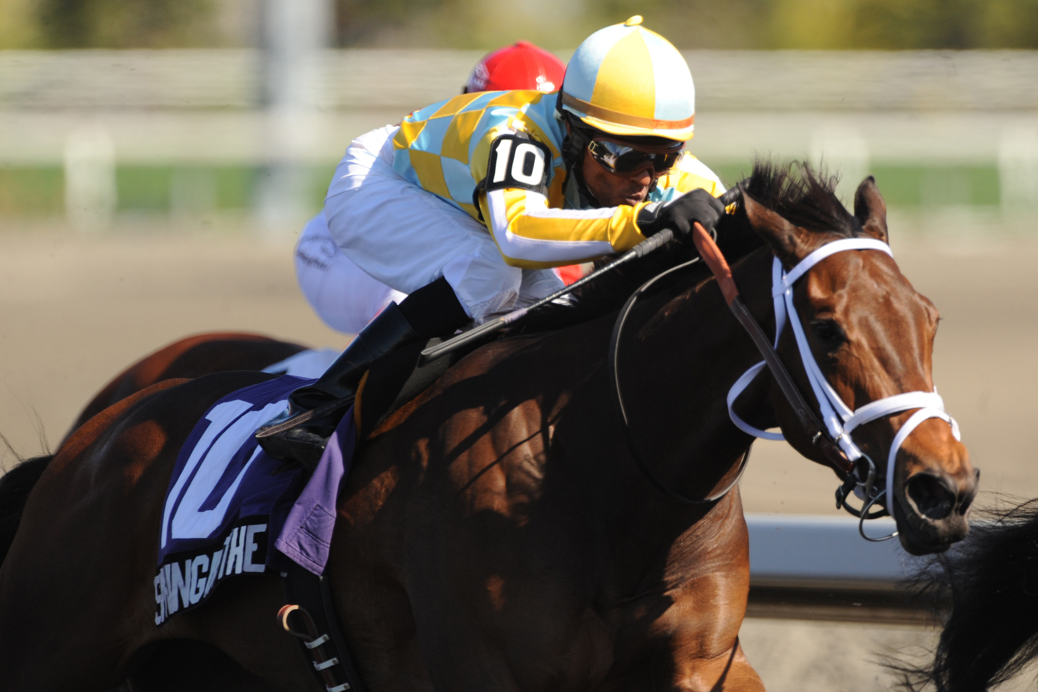Spring in the Air, Fury Stakes