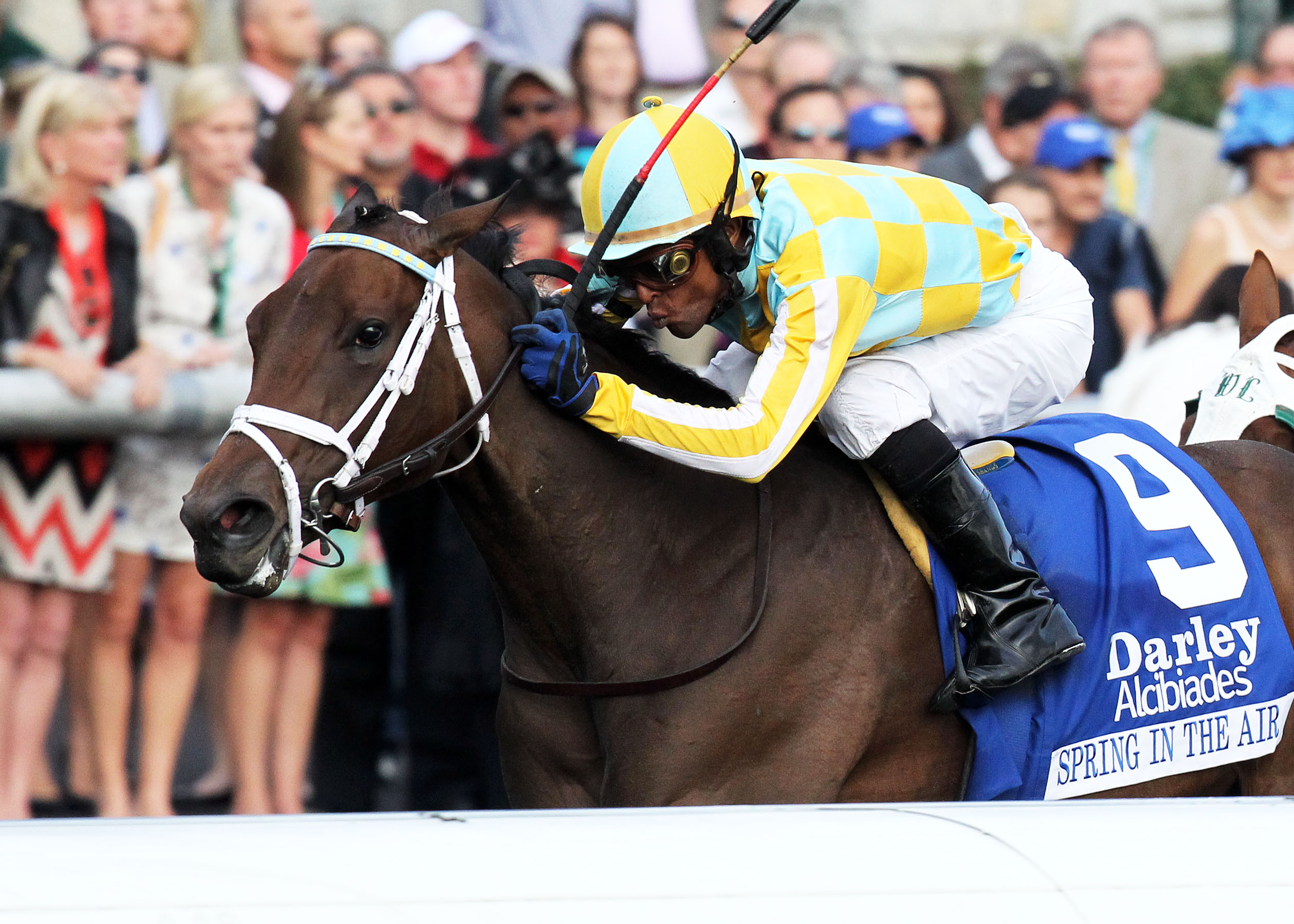 Spring in the Air/Darley Alcibiades