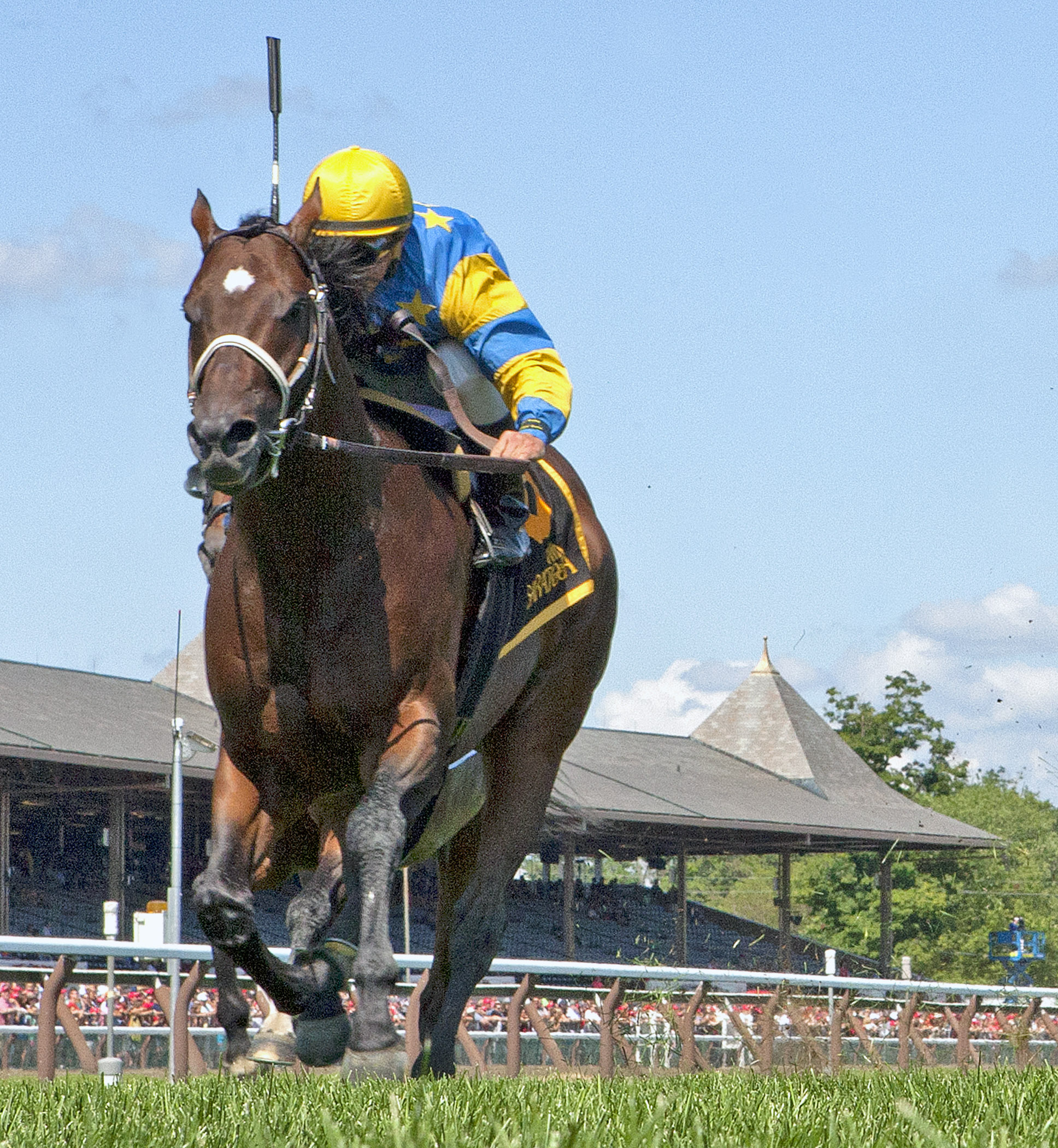 Spring to the Sky wins 2014 Lucky Coin