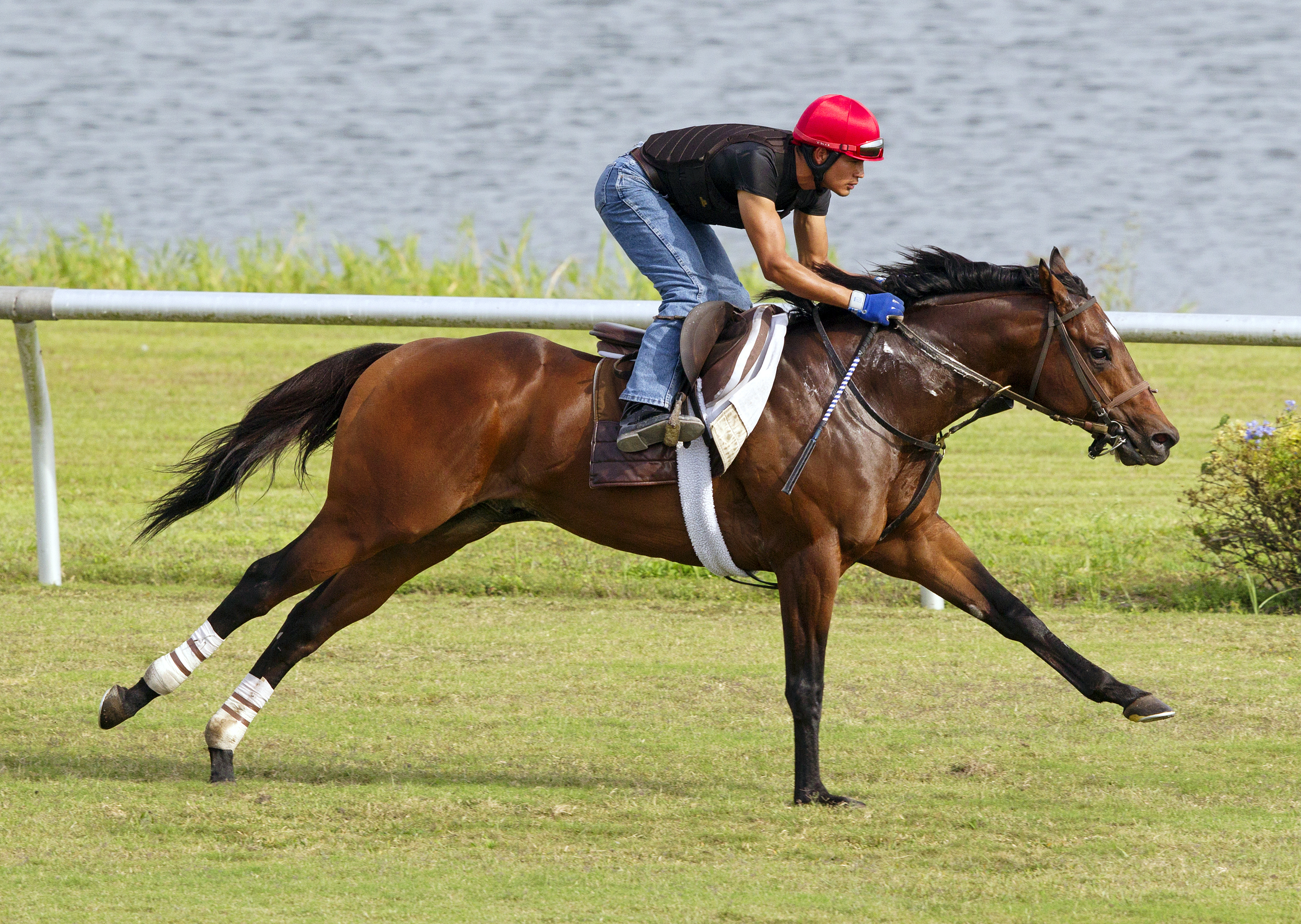 Spring to the Sky trains at Palm Meadows in March