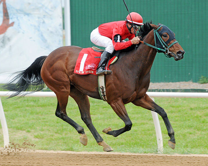Spring Steen wins the 2019 Miranda Diane Stakes at Will Rogers Downs