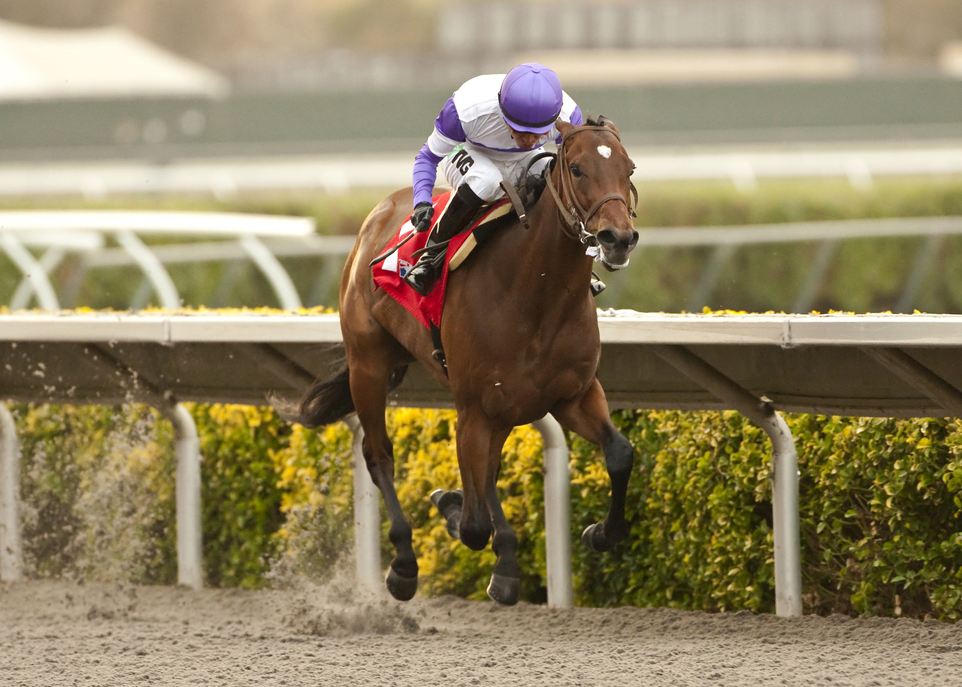 Sprouts wins the C.T.B.A. Stakes