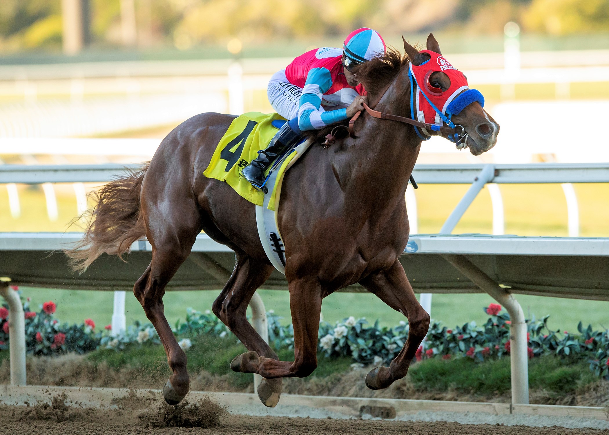 Spun Intended wins Del Mar maiden race Nov 26 2022